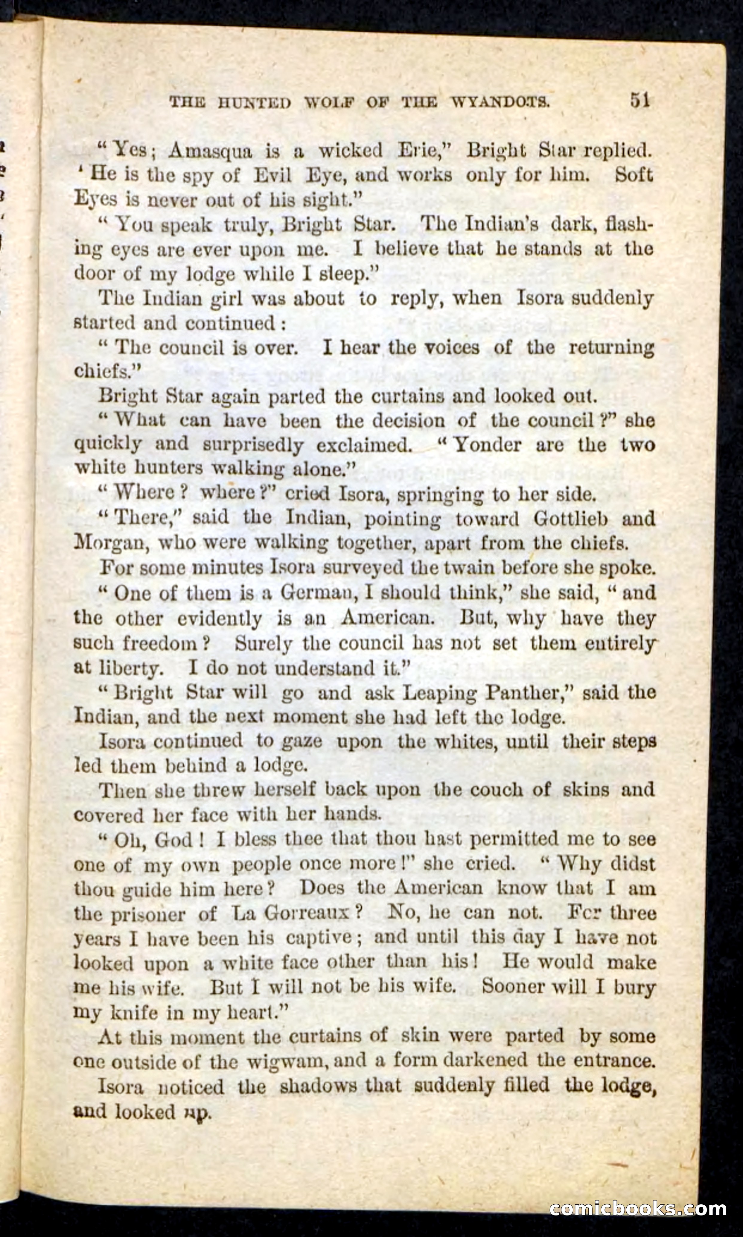 The Lone Indian — page 47 of 100