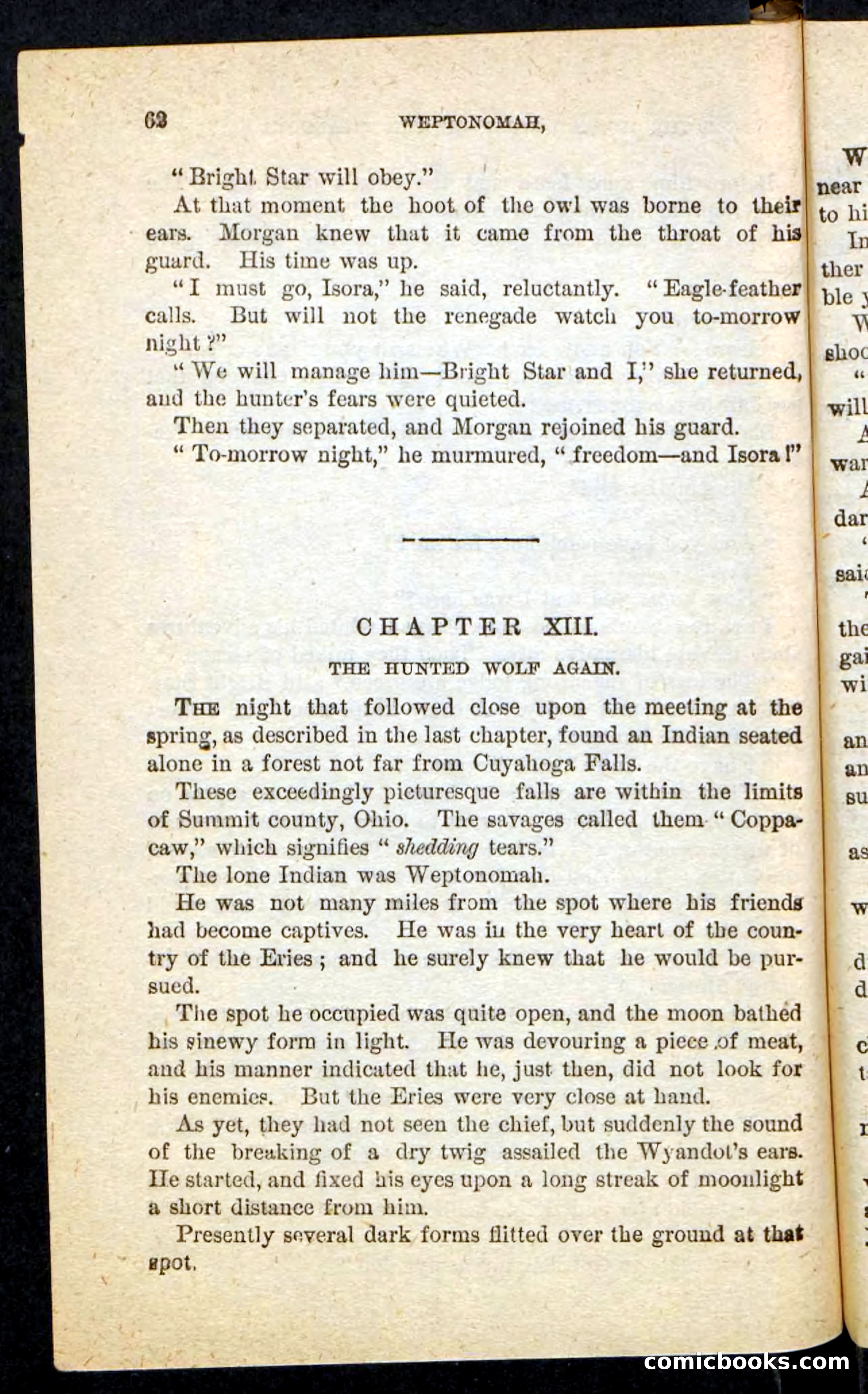 The Lone Indian — page 58 of 100