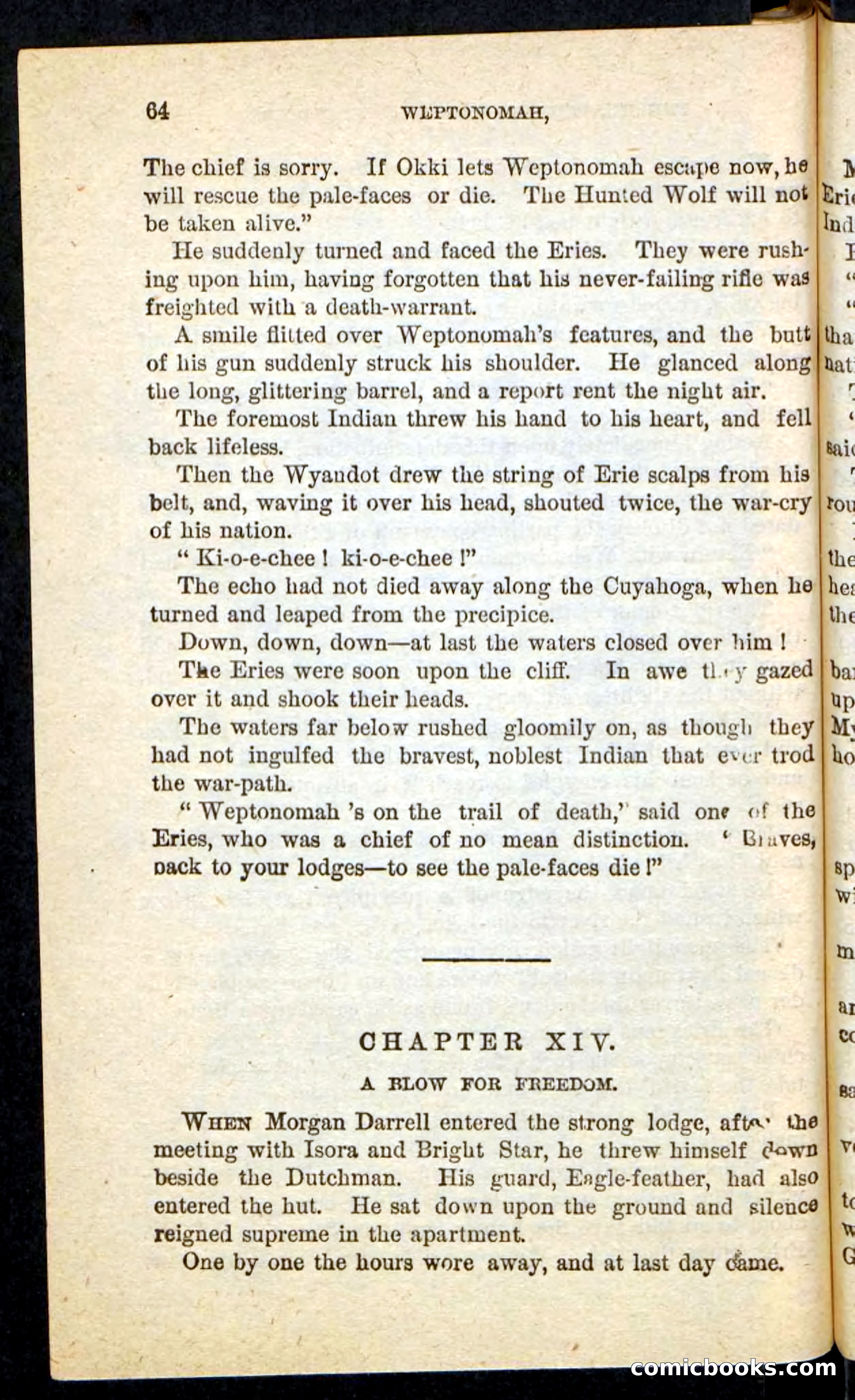 The Lone Indian — page 60 of 100