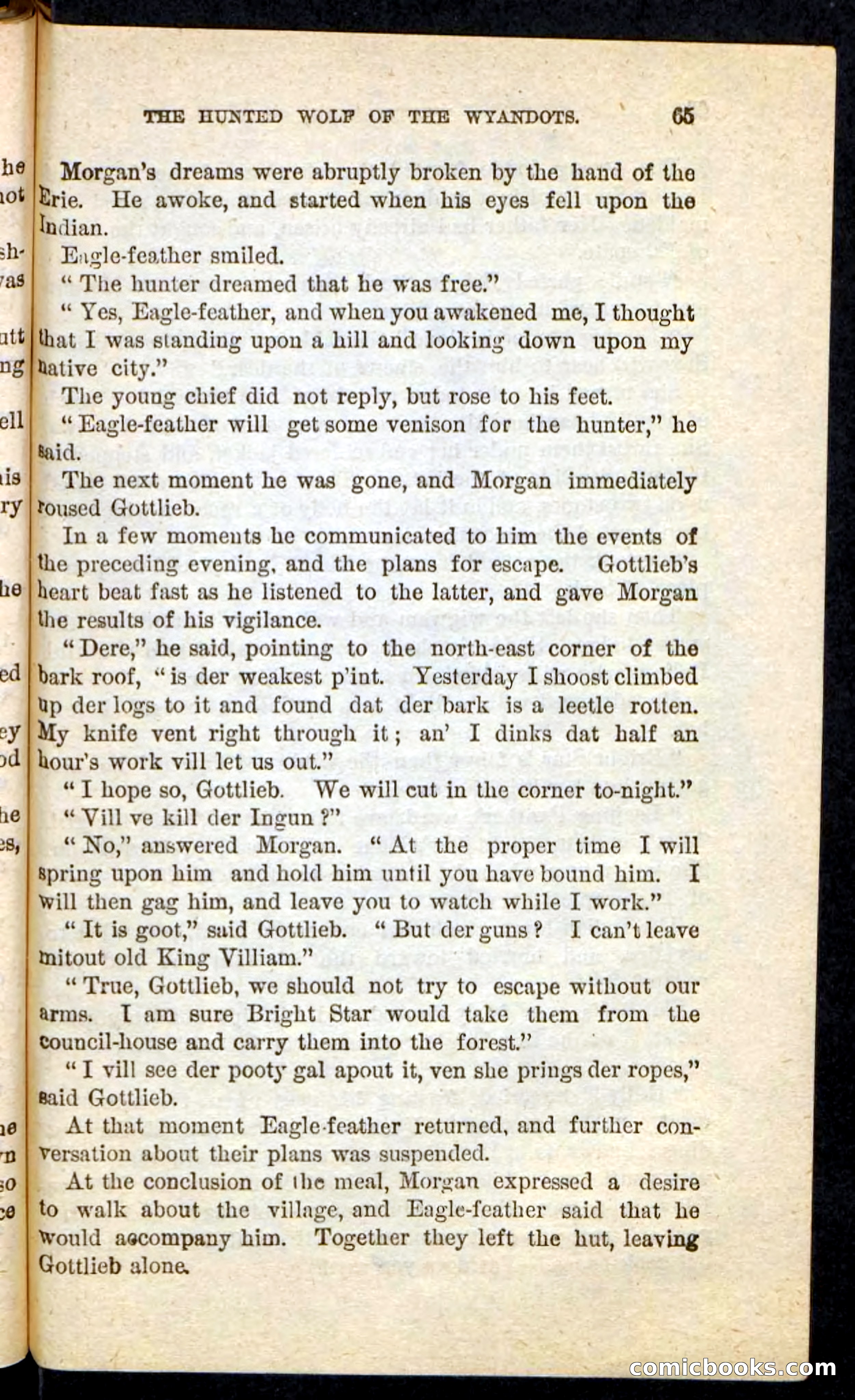 The Lone Indian — page 61 of 100