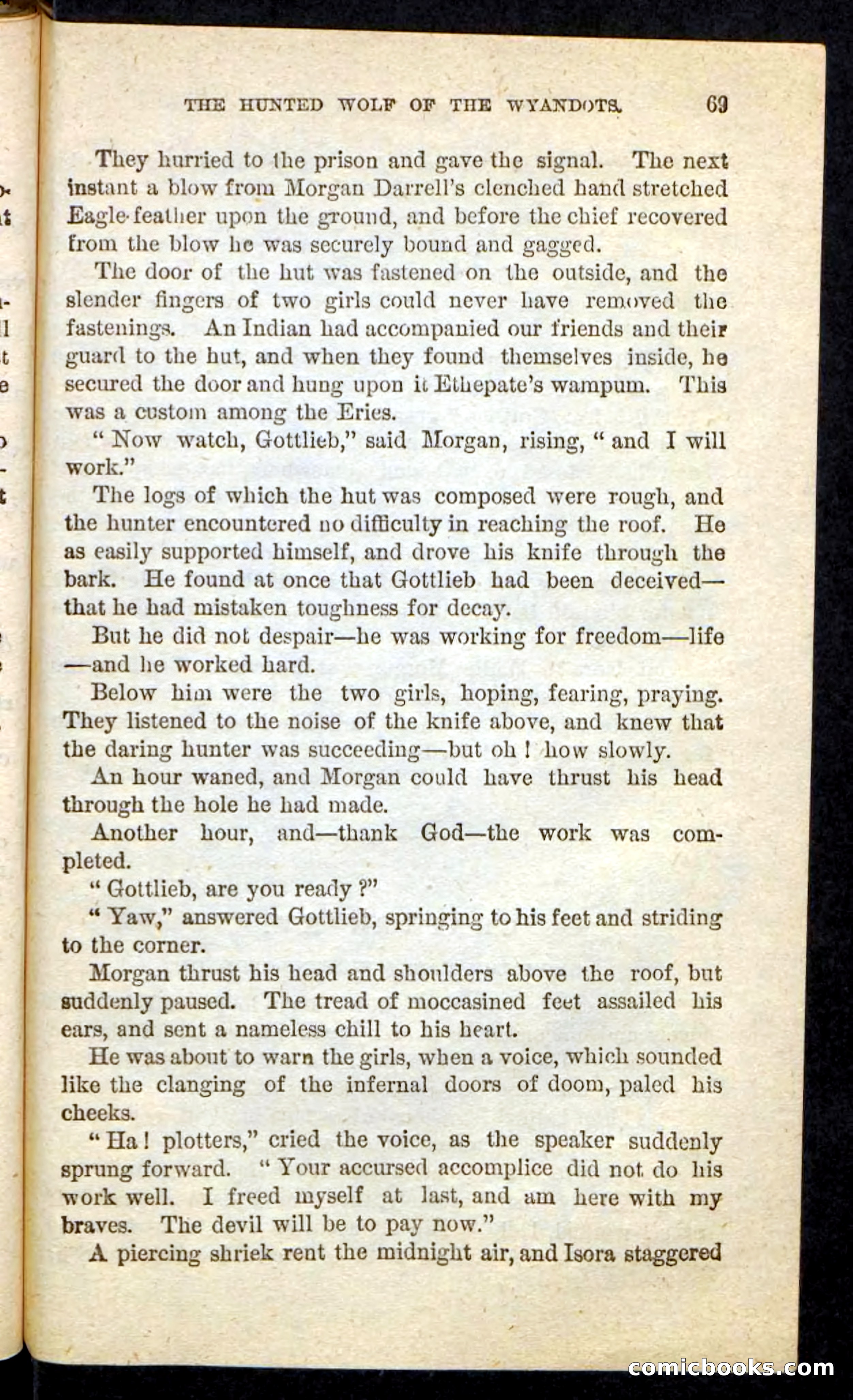 The Lone Indian — page 65 of 100