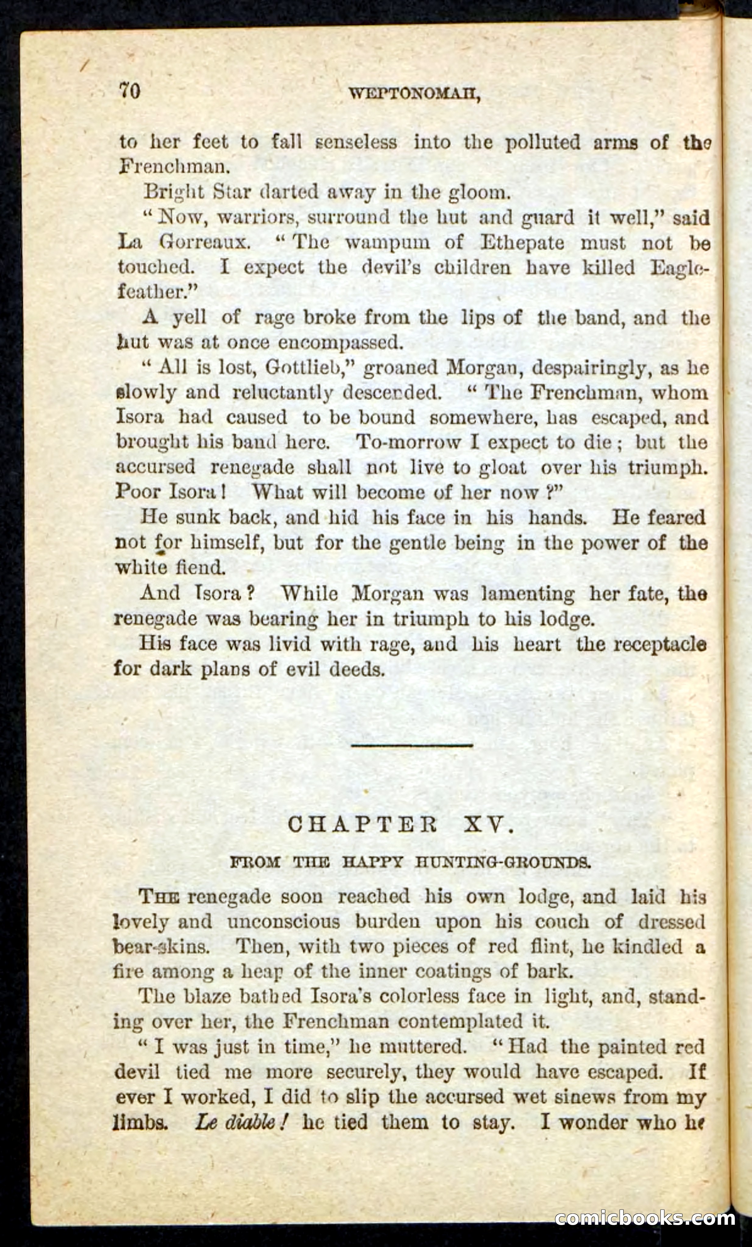 The Lone Indian — page 66 of 100
