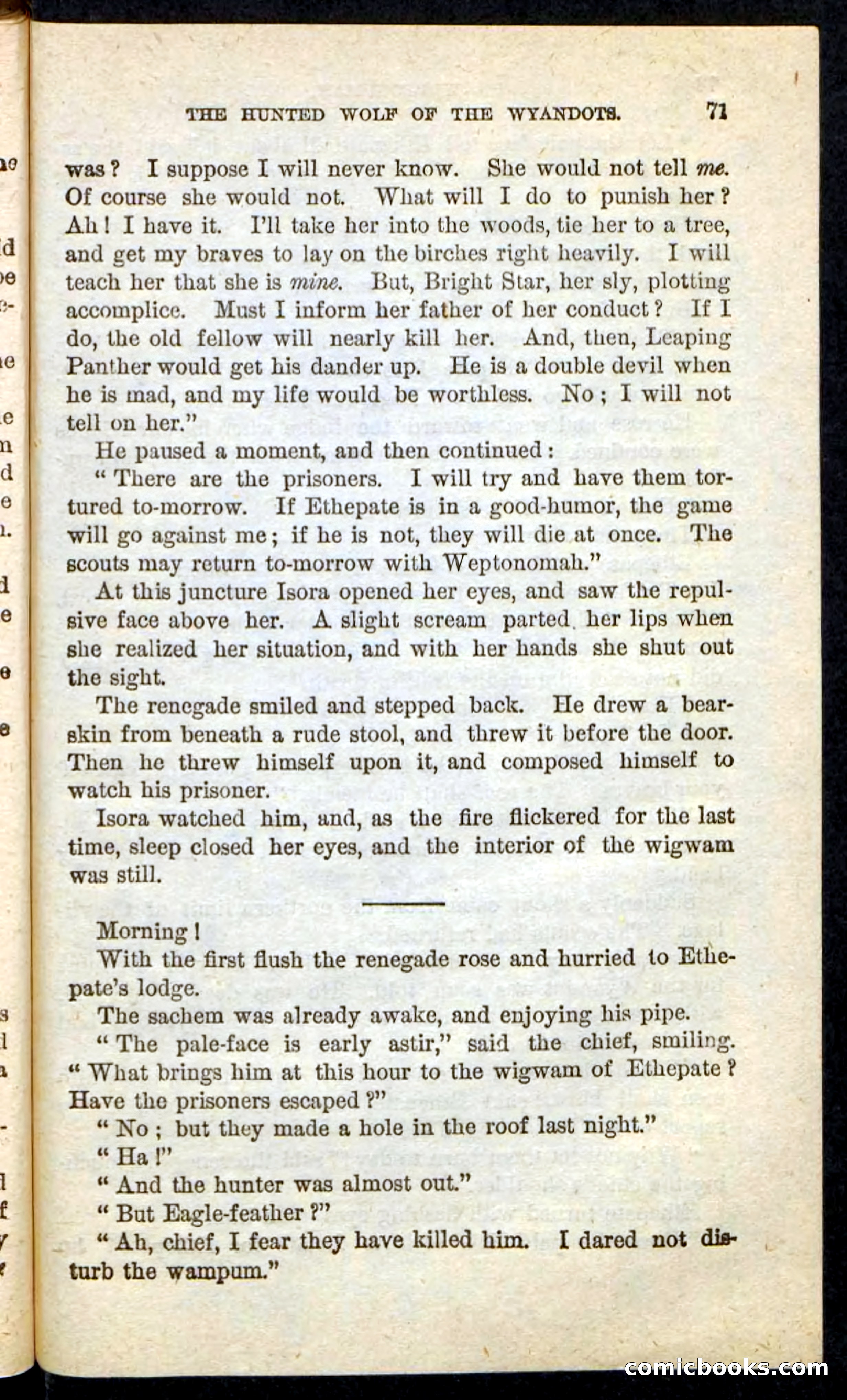 The Lone Indian — page 67 of 100