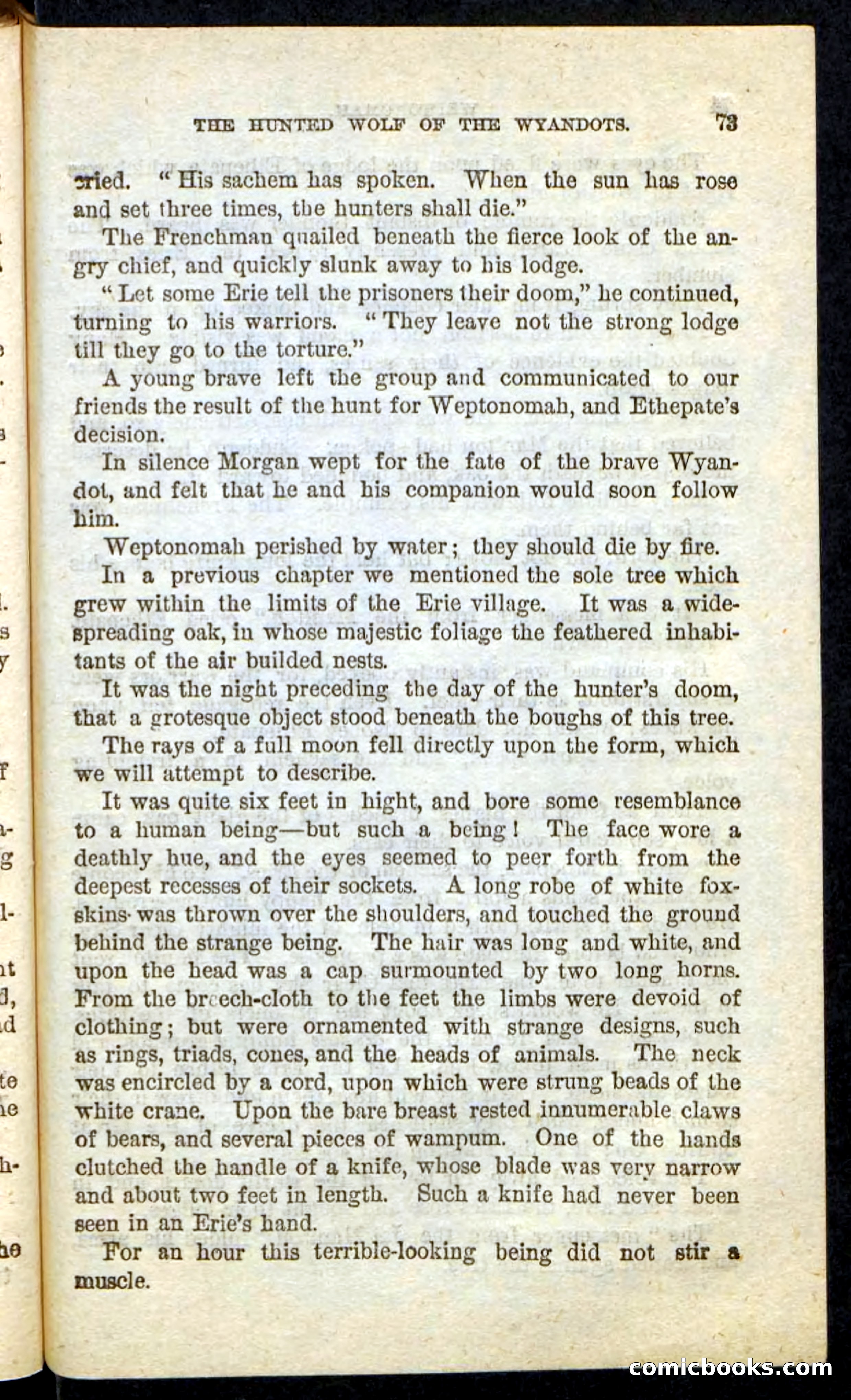 The Lone Indian — page 69 of 100