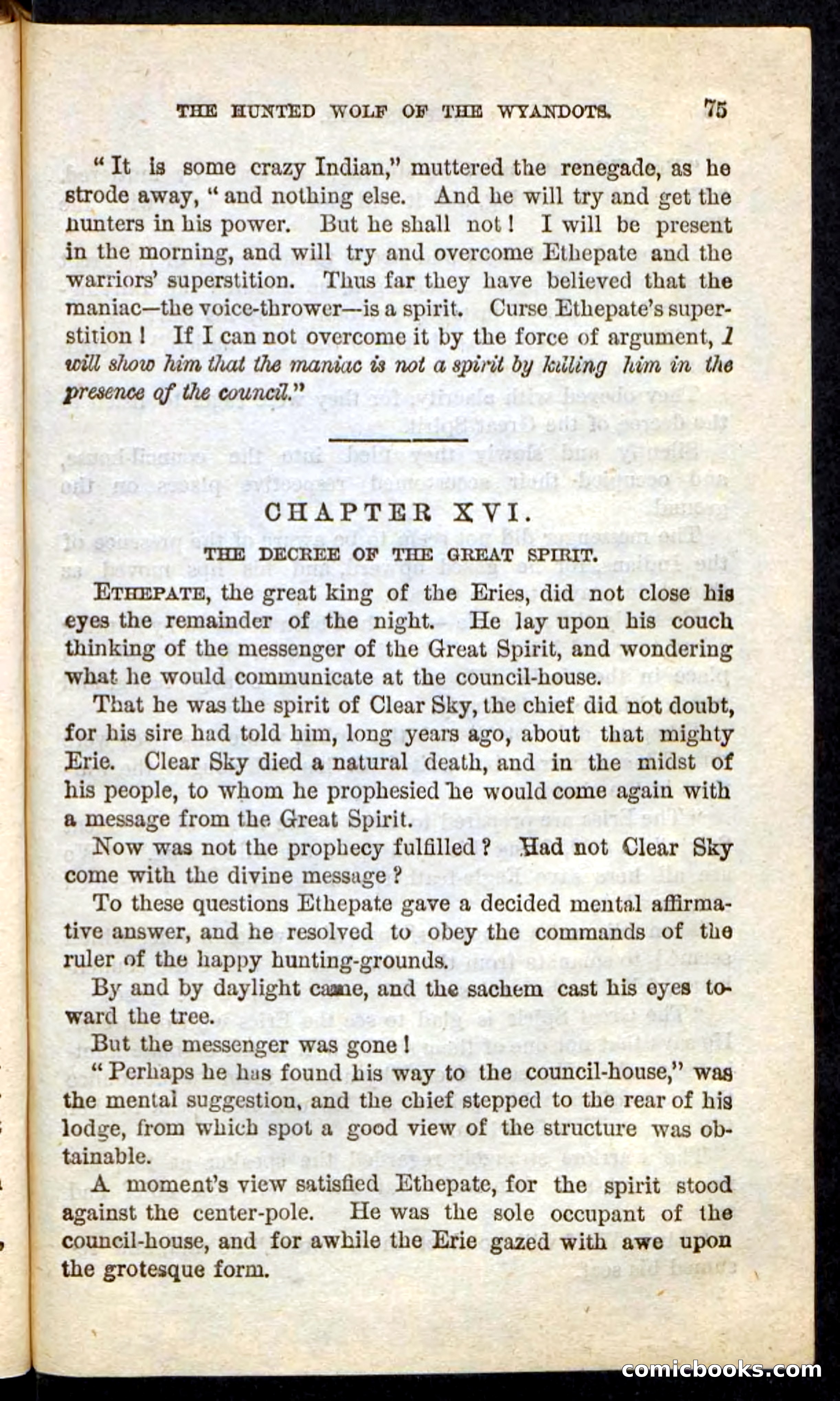 The Lone Indian — page 71 of 100