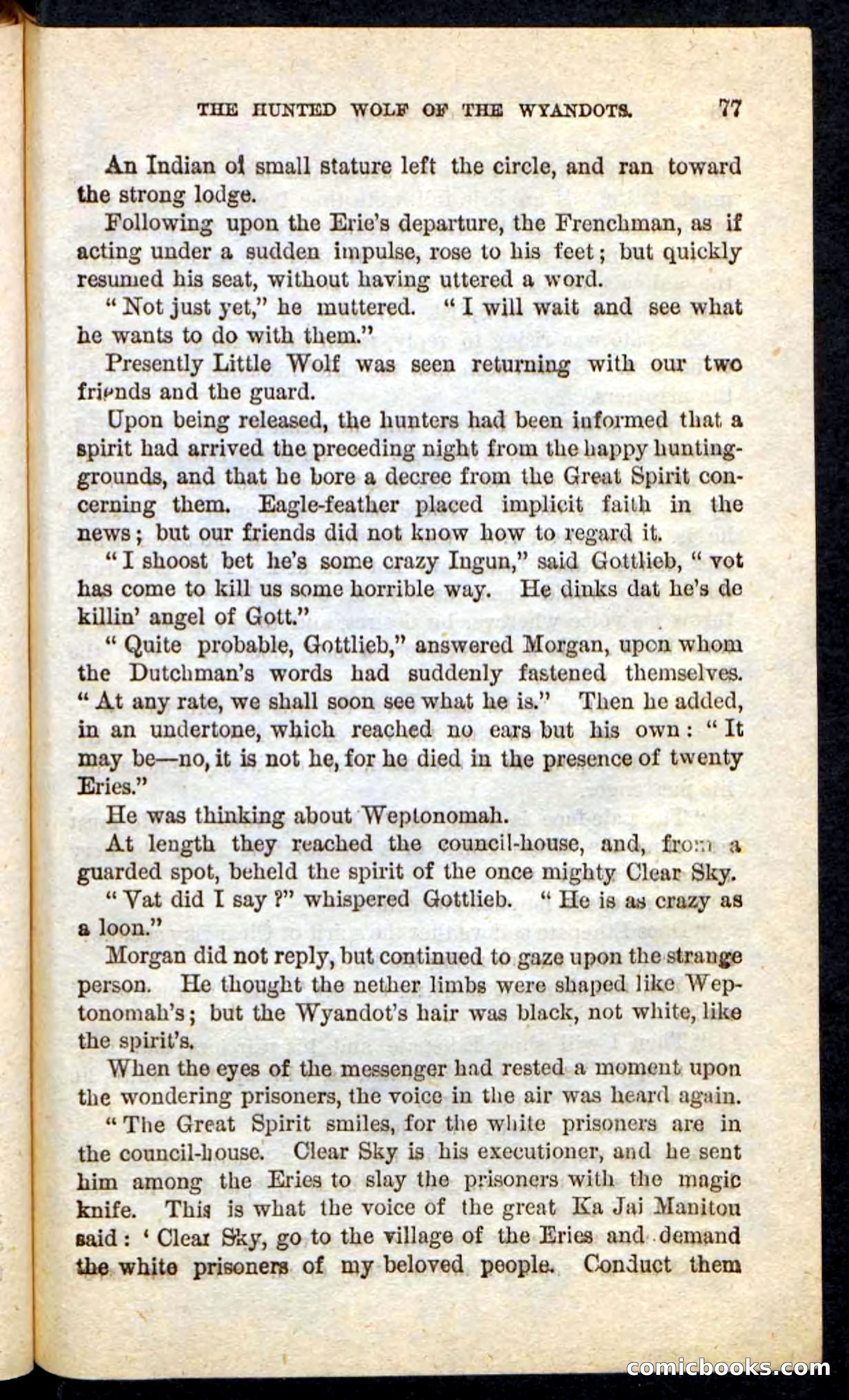 The Lone Indian — page 73 of 100