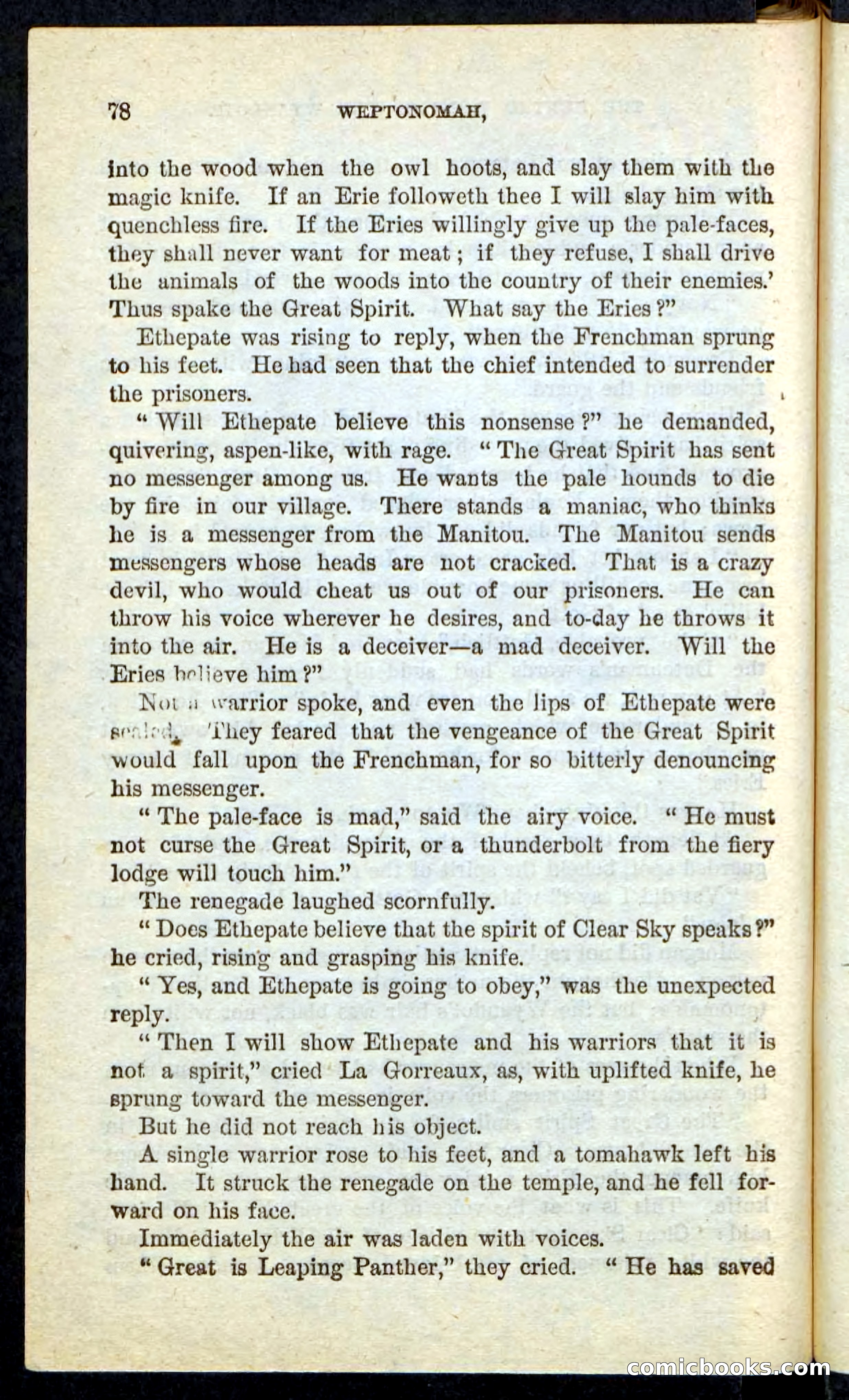 The Lone Indian — page 74 of 100