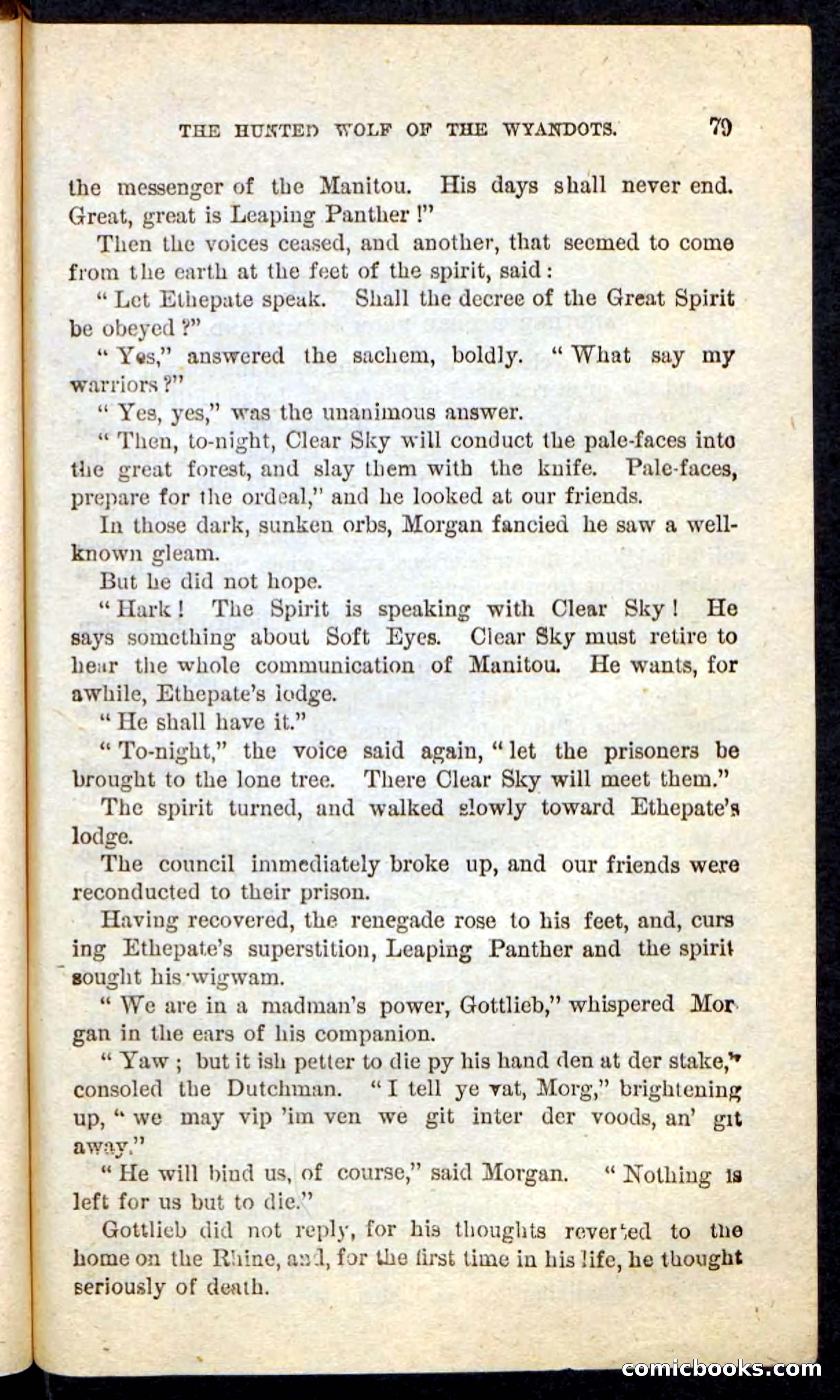 The Lone Indian — page 75 of 100
