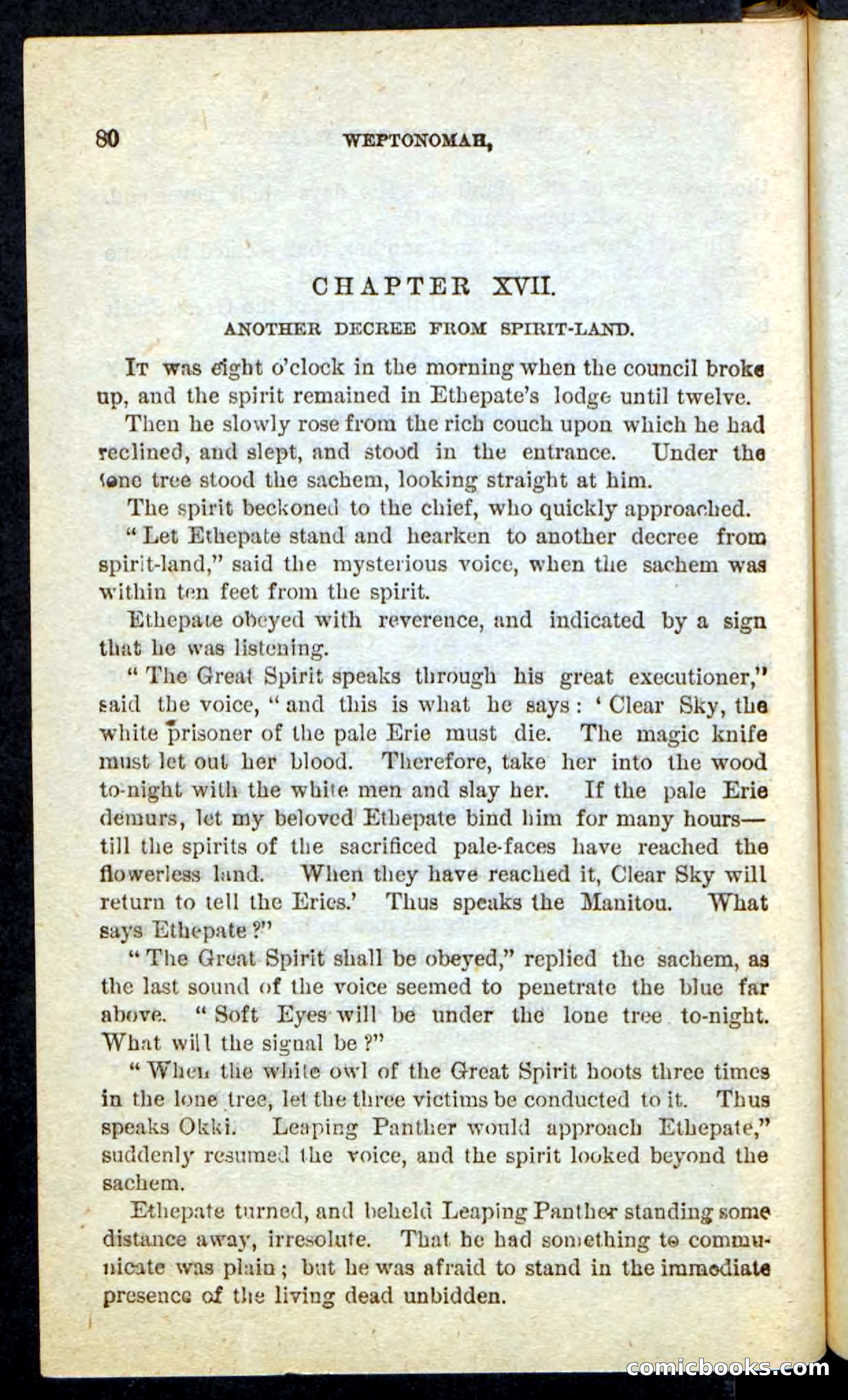 The Lone Indian — page 76 of 100