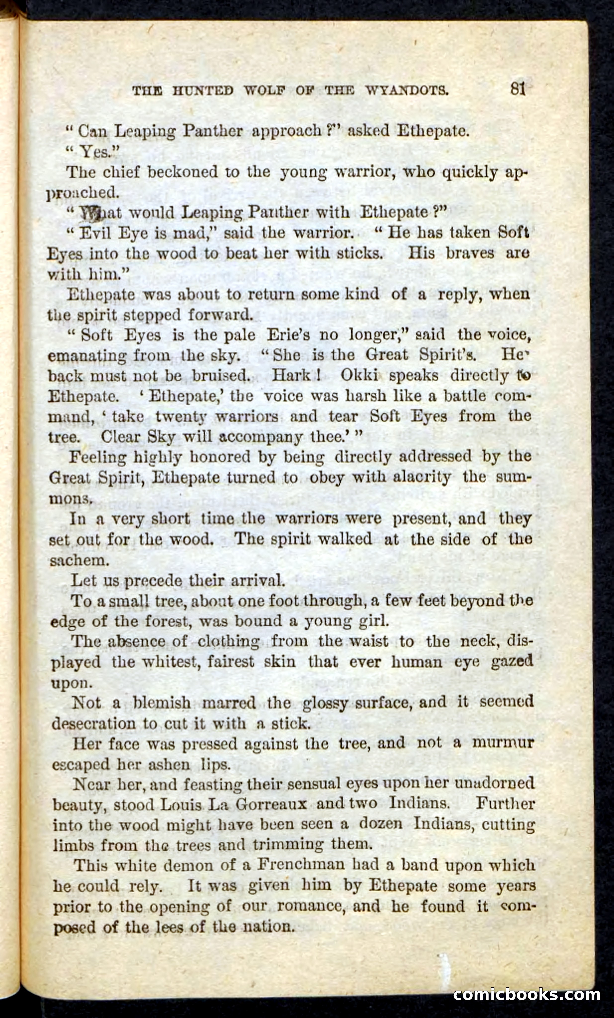 The Lone Indian — page 77 of 100