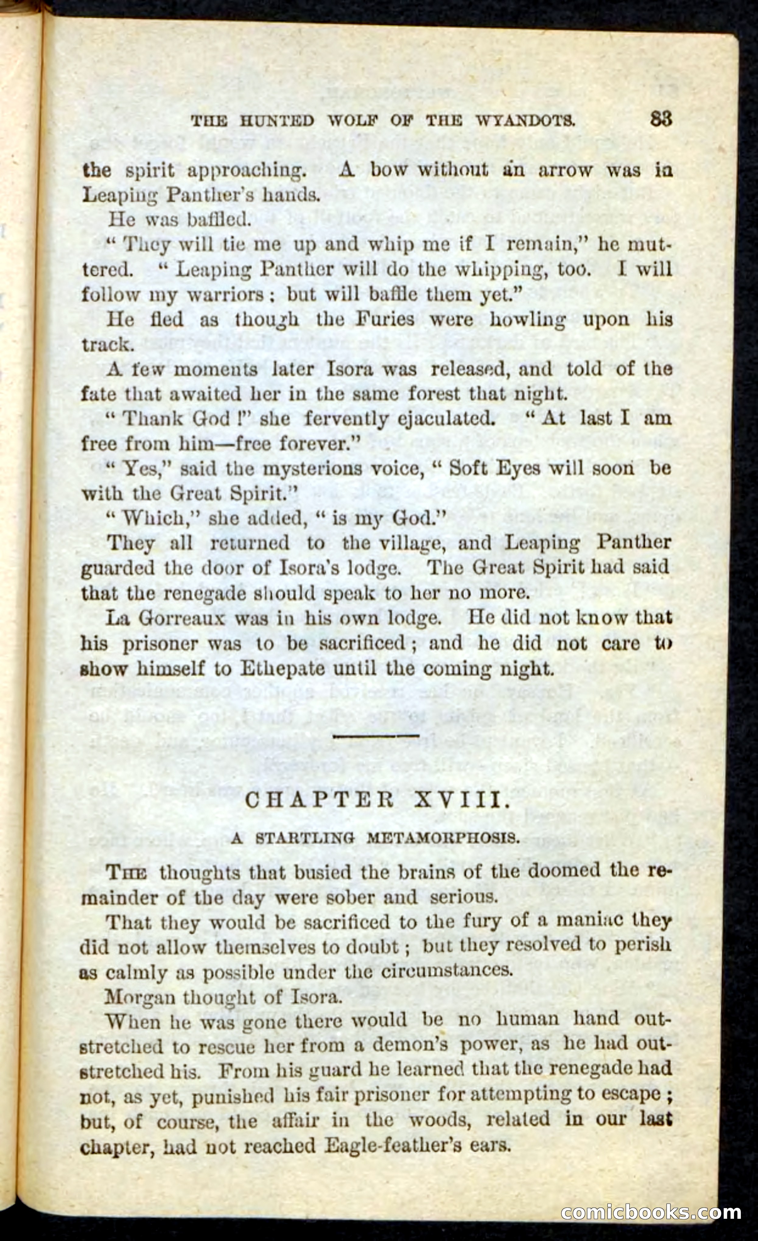 The Lone Indian — page 79 of 100