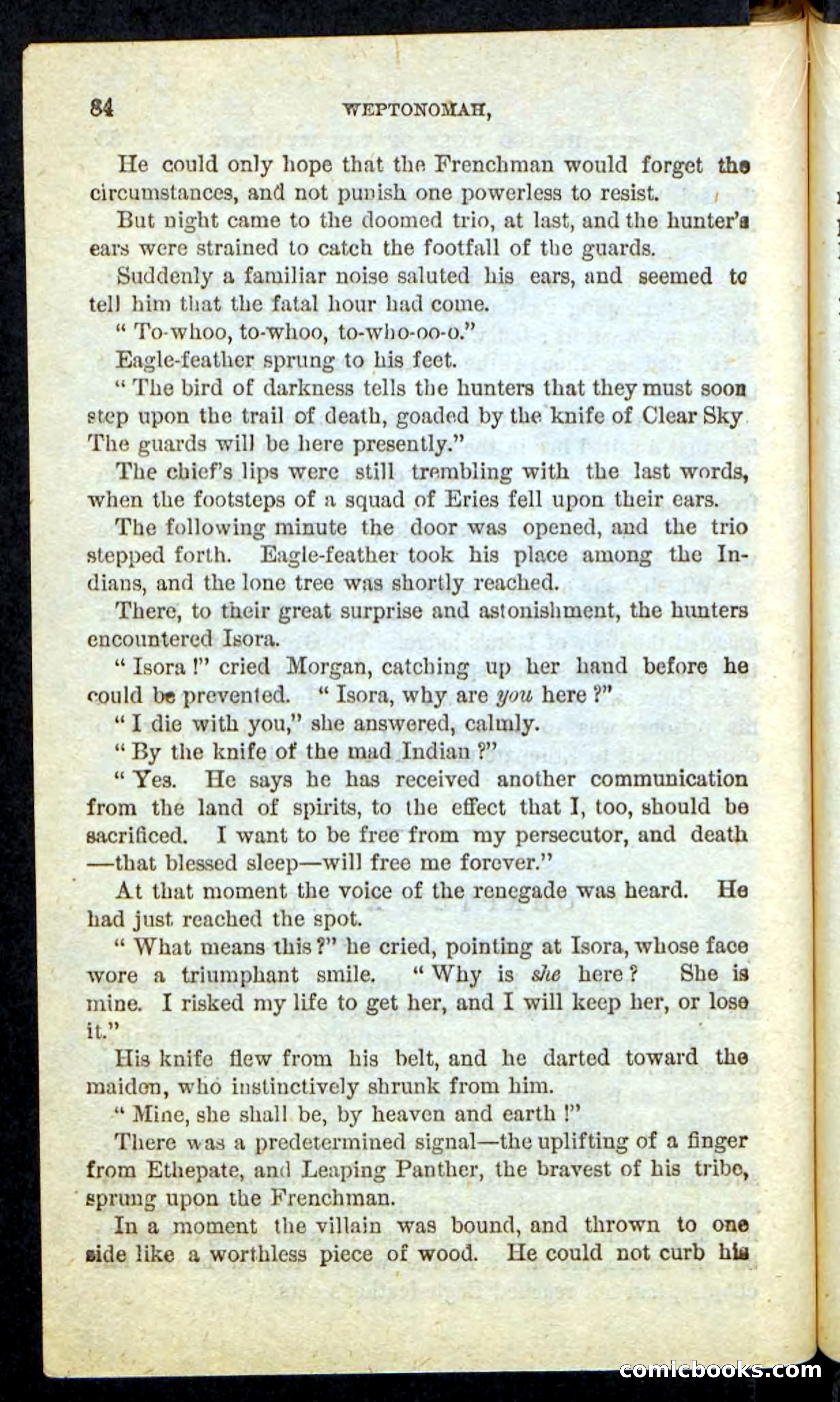The Lone Indian — page 80 of 100