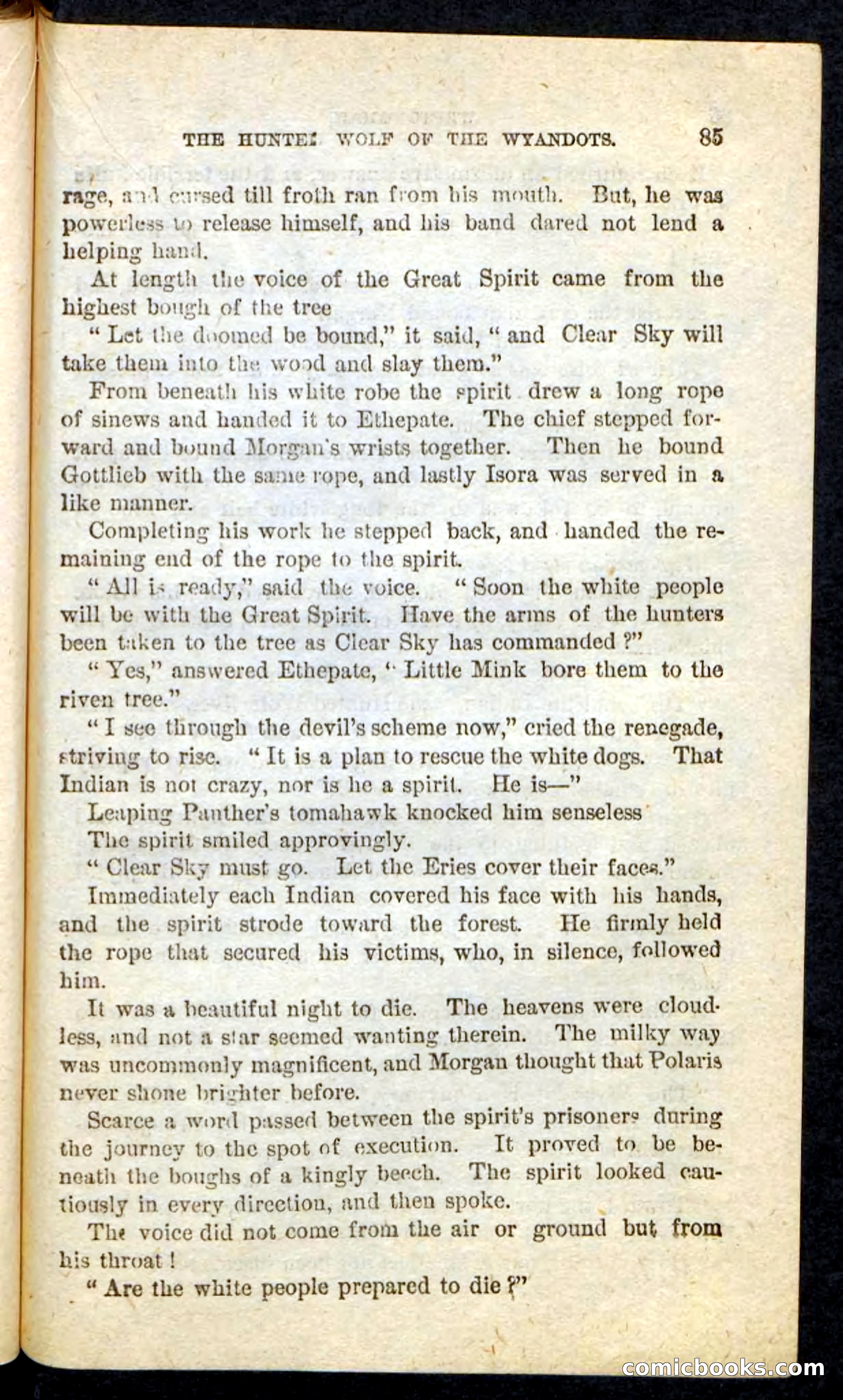 The Lone Indian — page 81 of 100