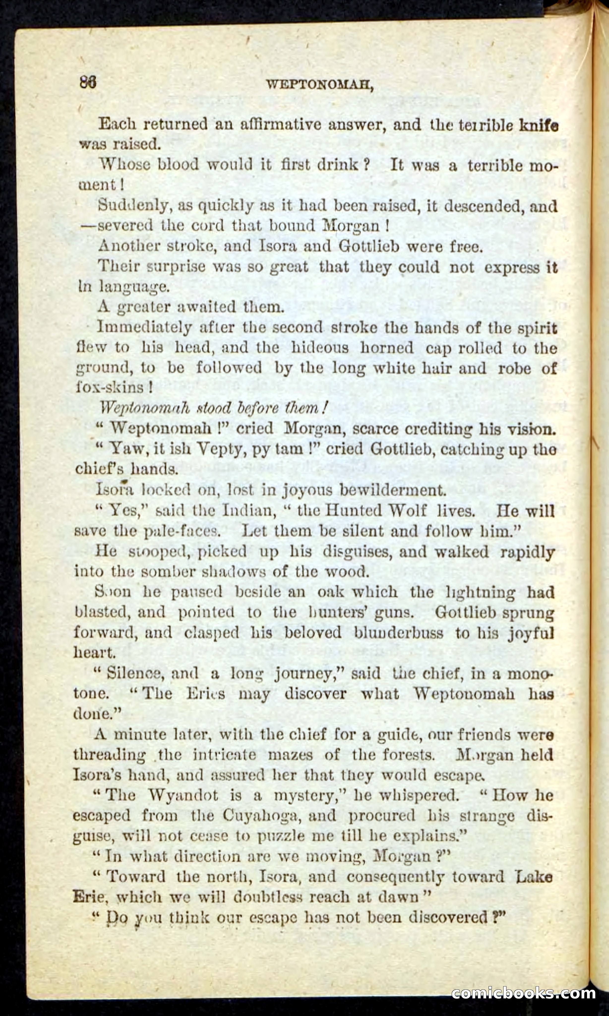 The Lone Indian — page 82 of 100