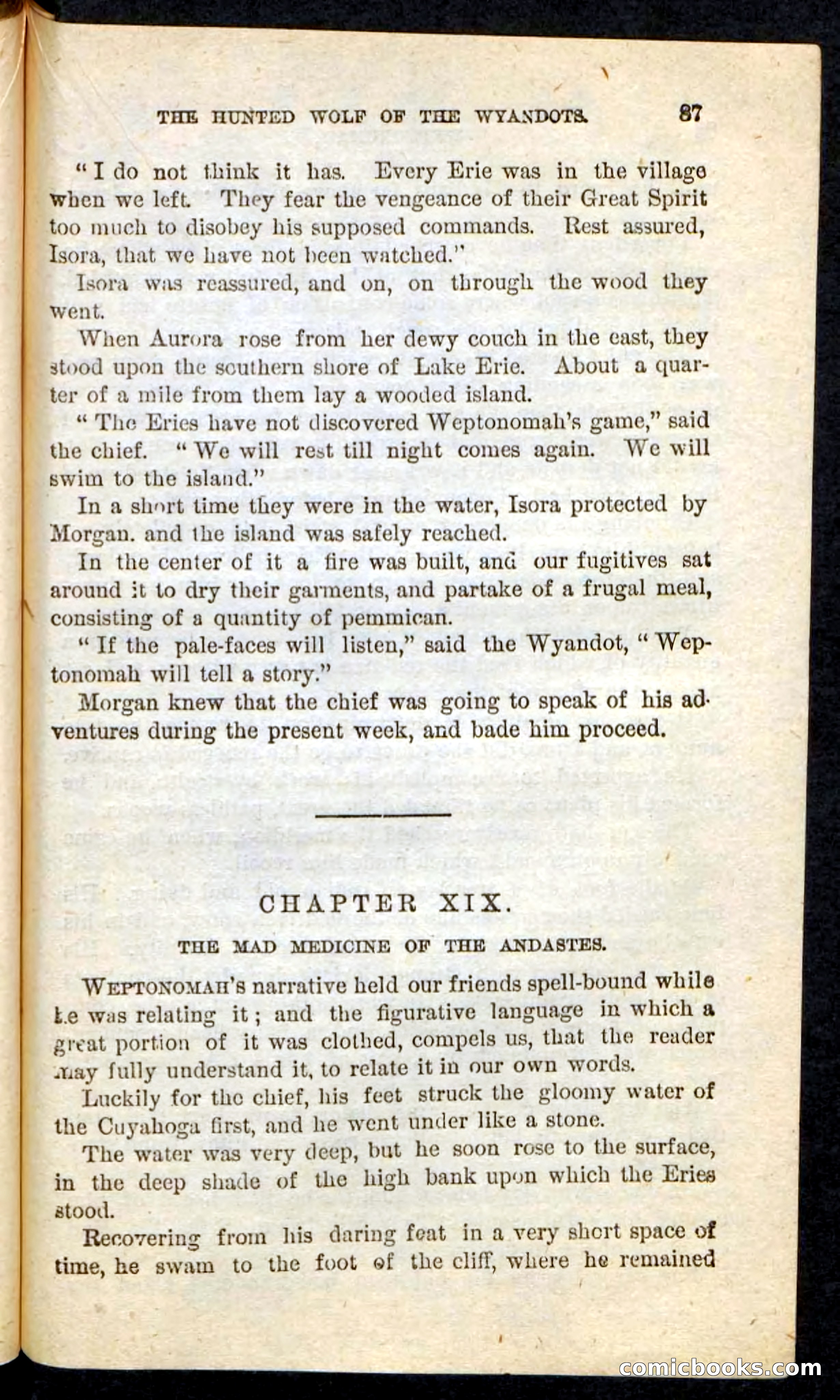 The Lone Indian — page 83 of 100