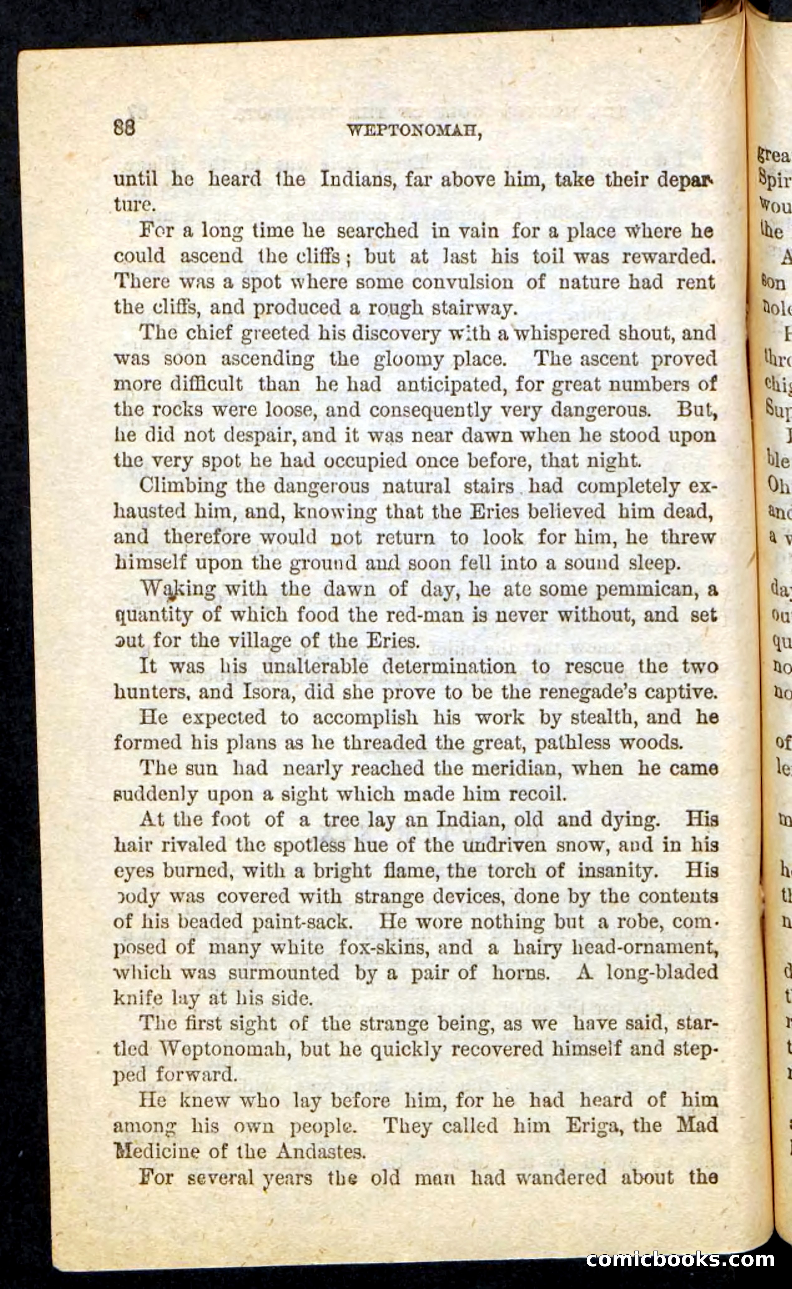 The Lone Indian — page 84 of 100