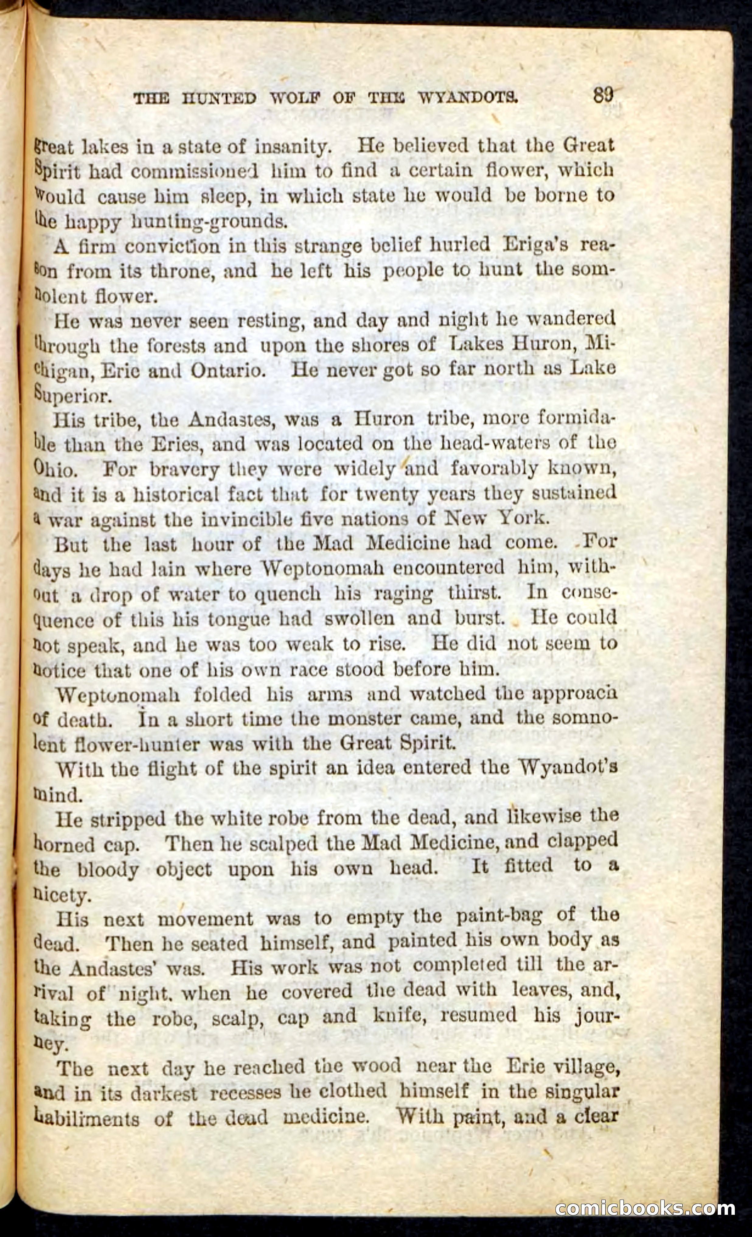 The Lone Indian — page 85 of 100