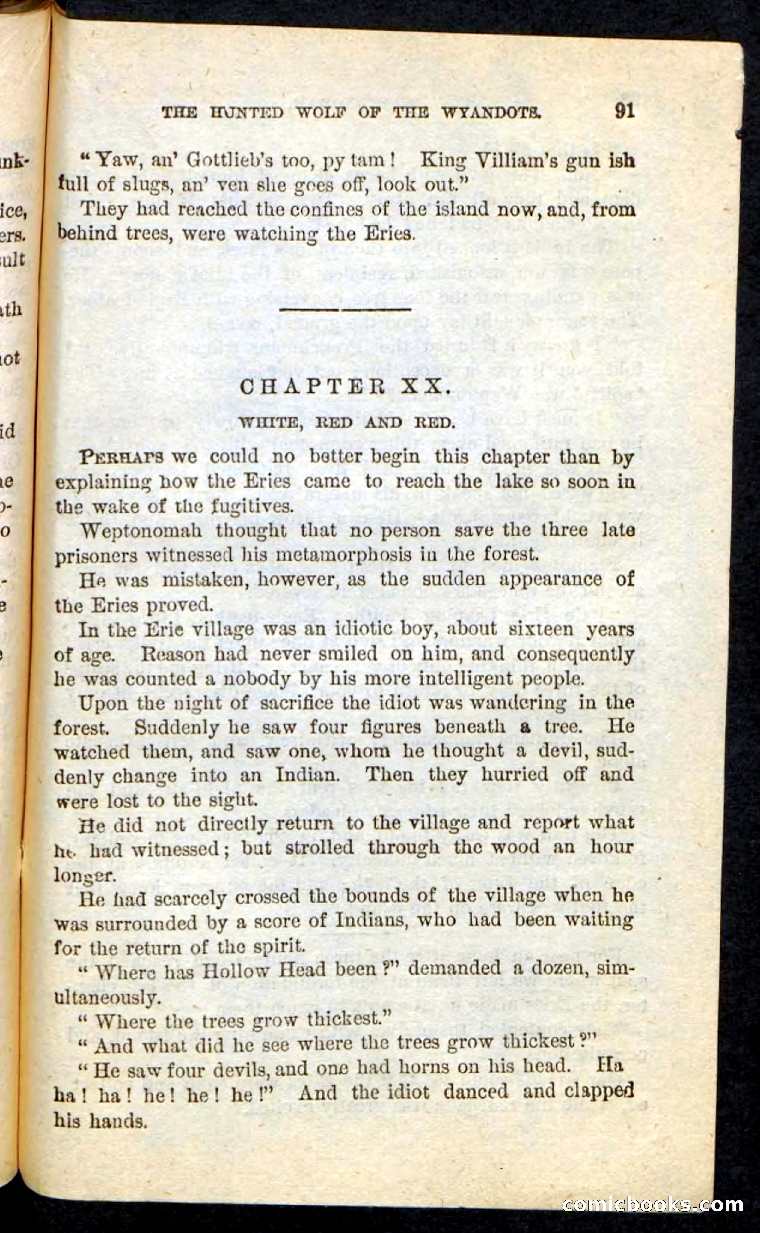 The Lone Indian — page 87 of 100