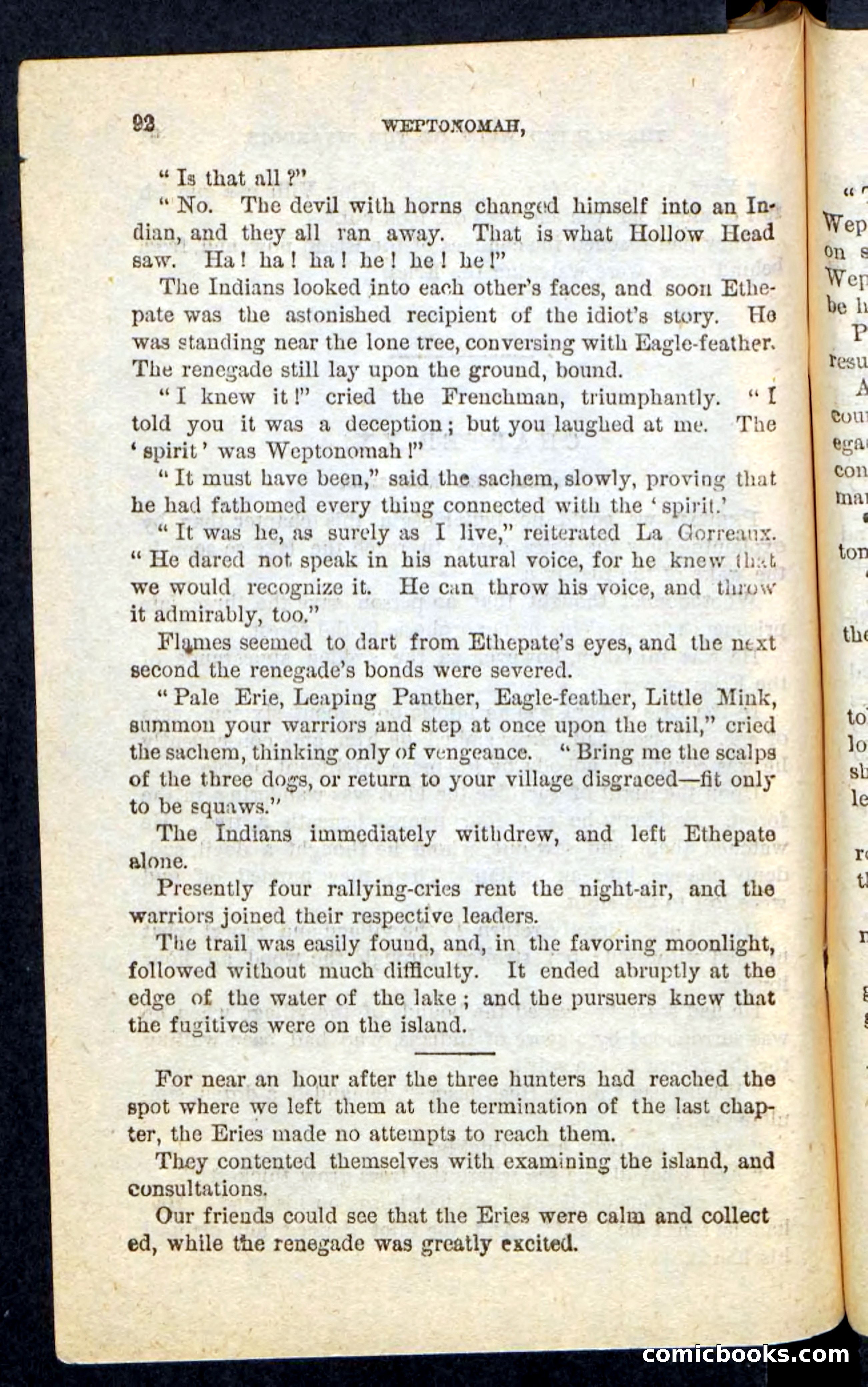 The Lone Indian — page 88 of 100