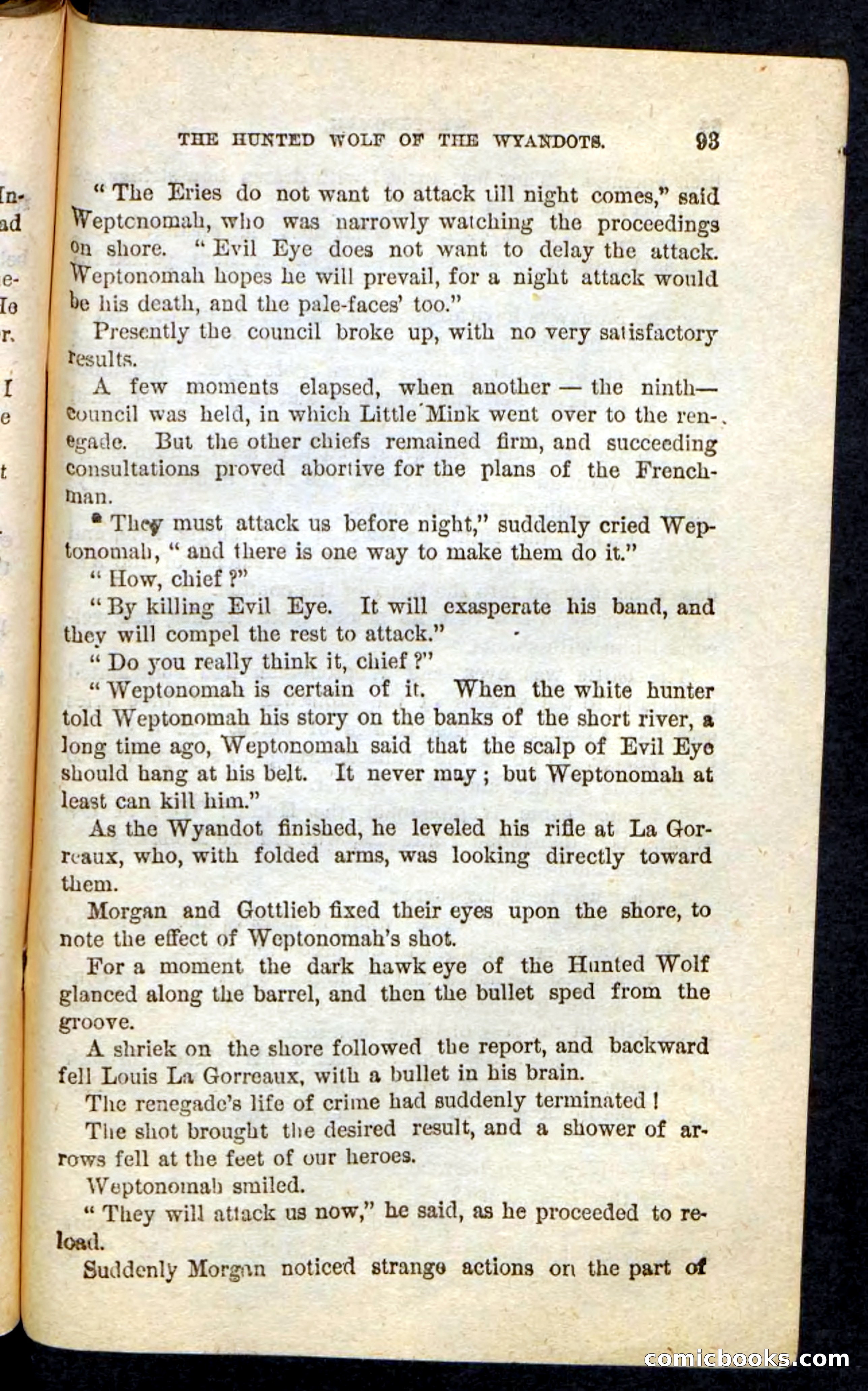 The Lone Indian — page 89 of 100