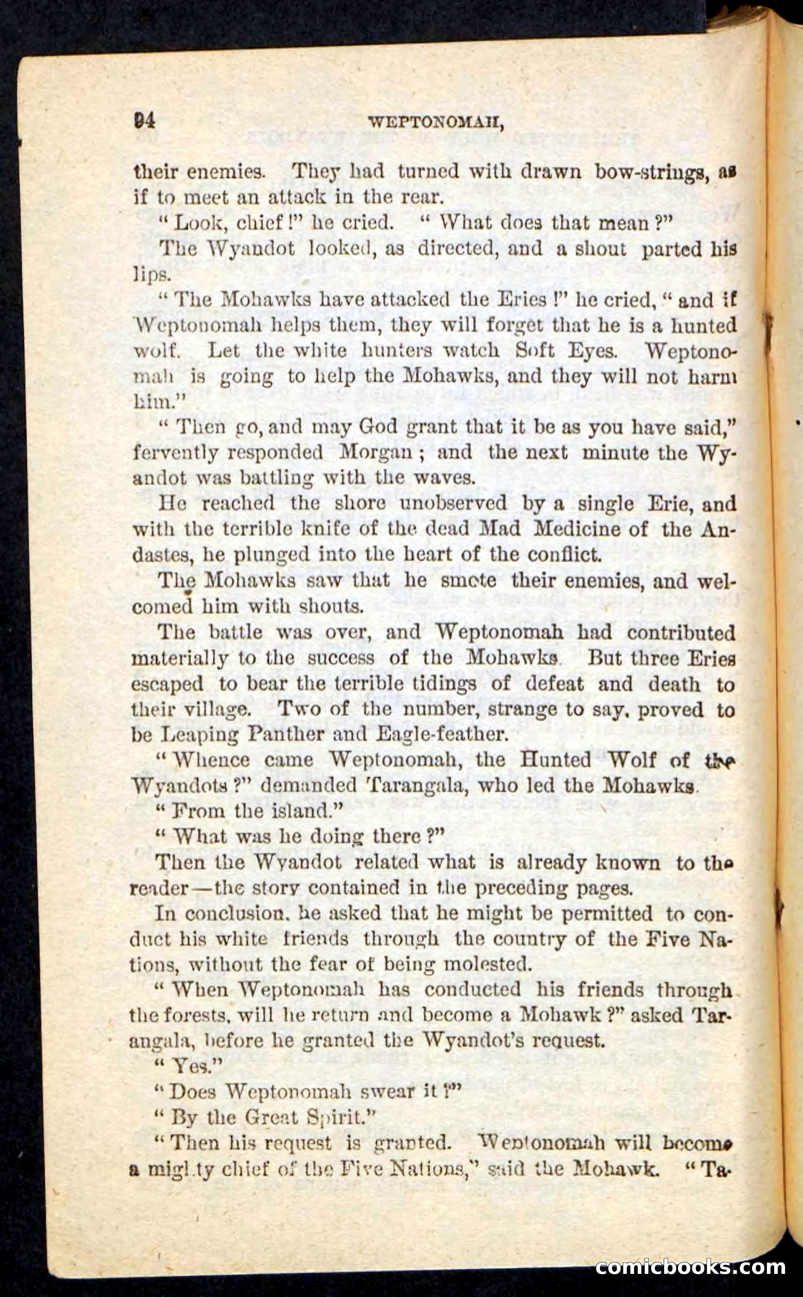 The Lone Indian — page 90 of 100