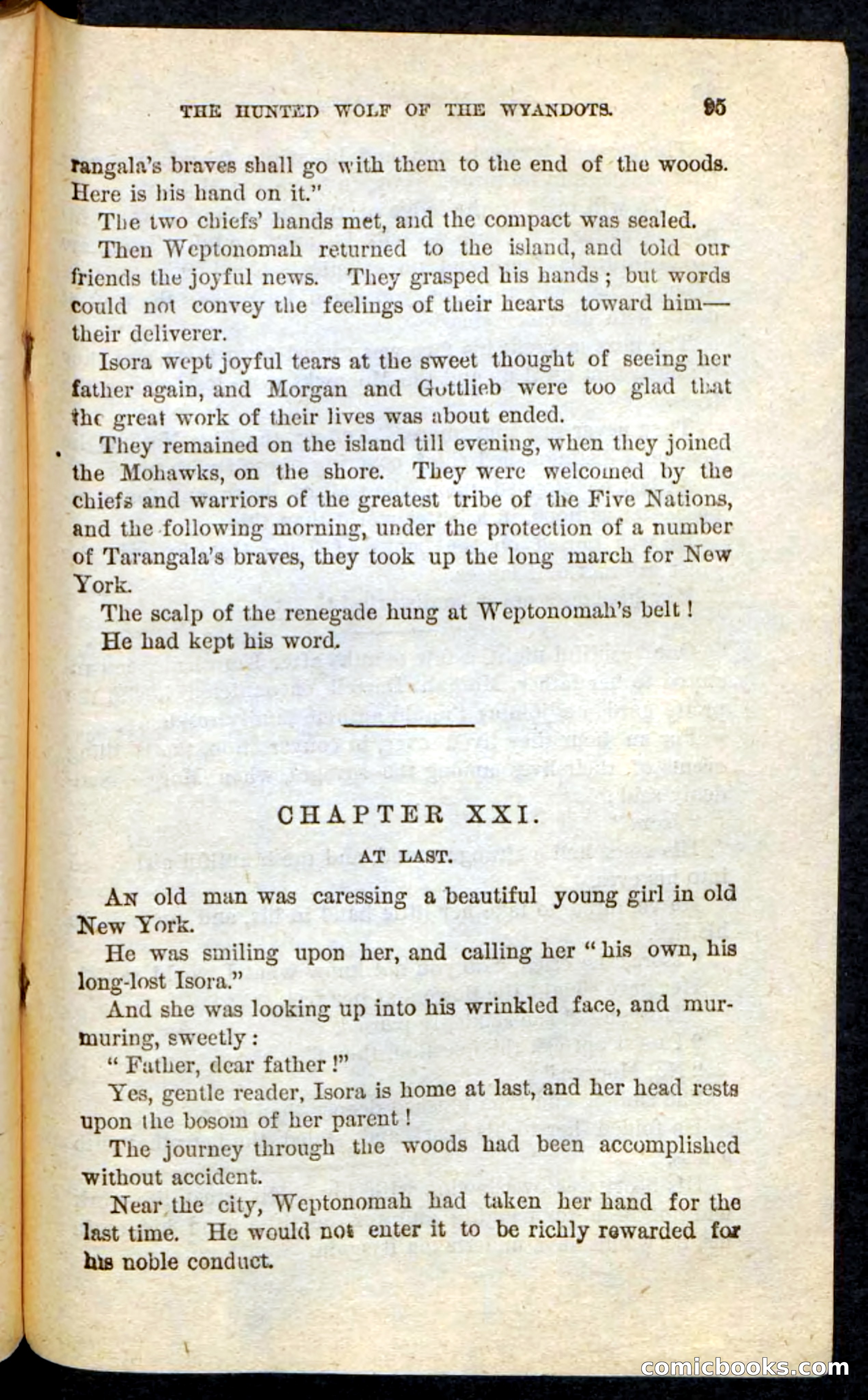 The Lone Indian — page 91 of 100
