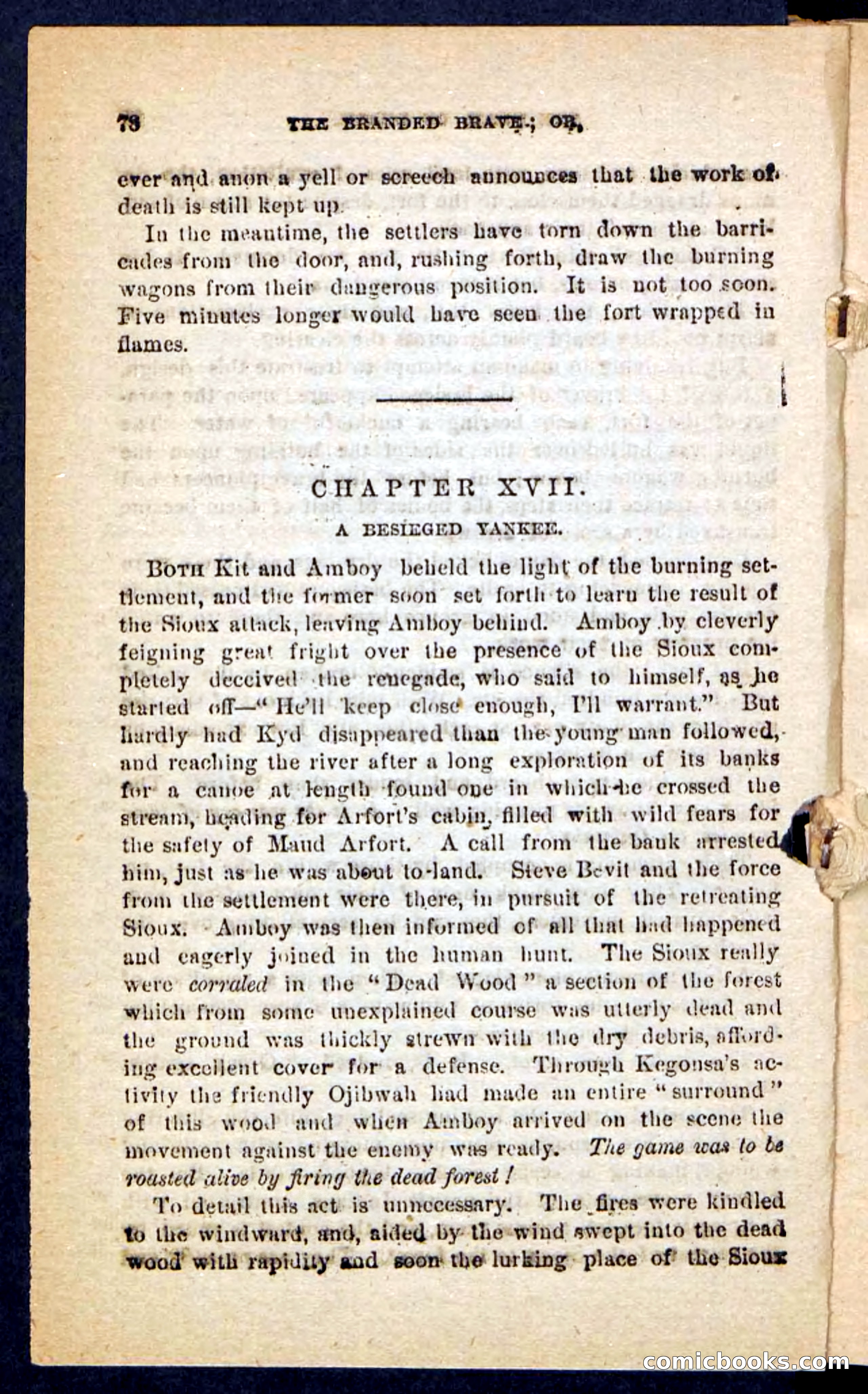 The Branded Brave — page 74 of 100