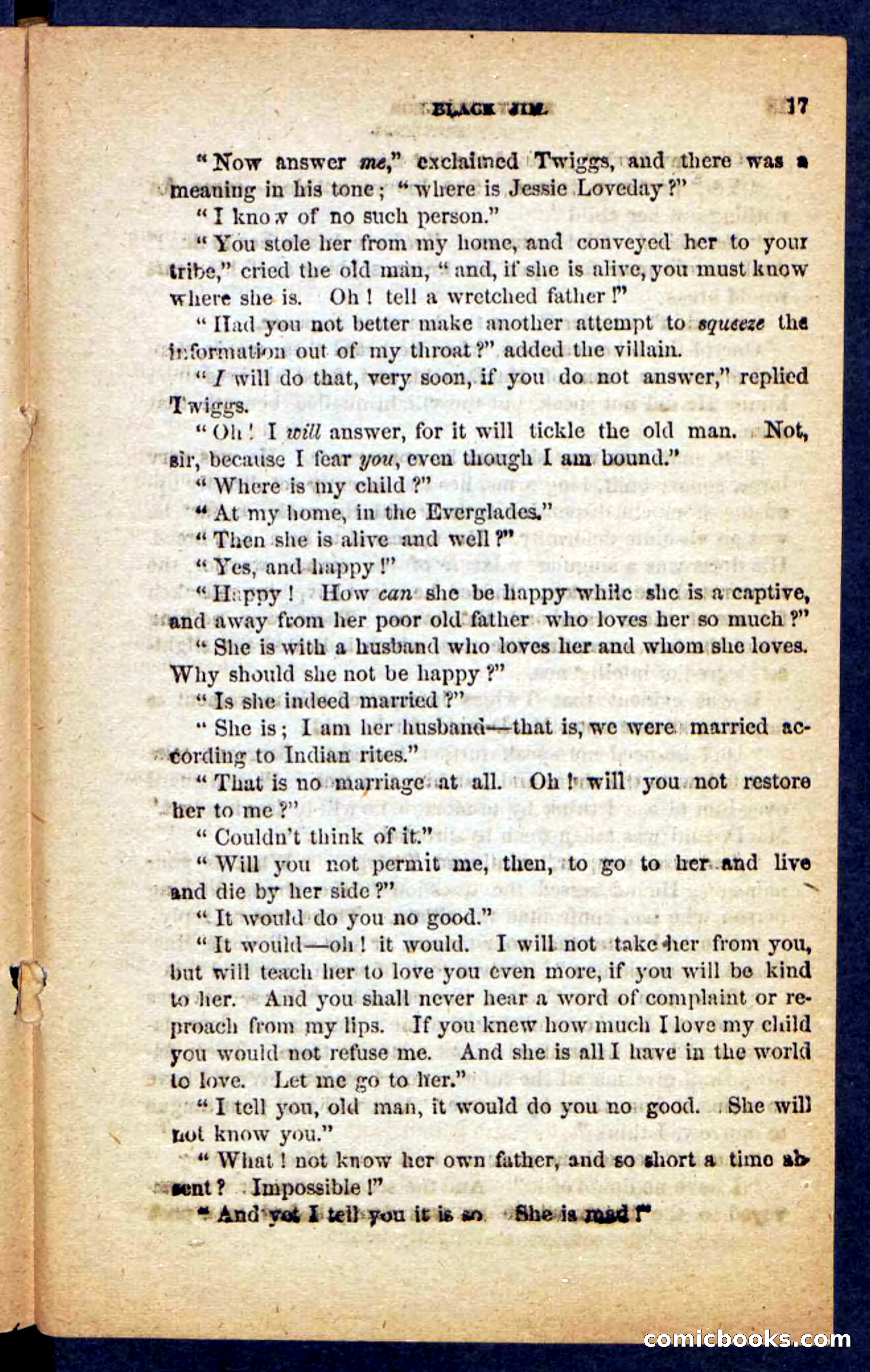 Beadle's Pocket Novels No. 152 — page 13 of 100