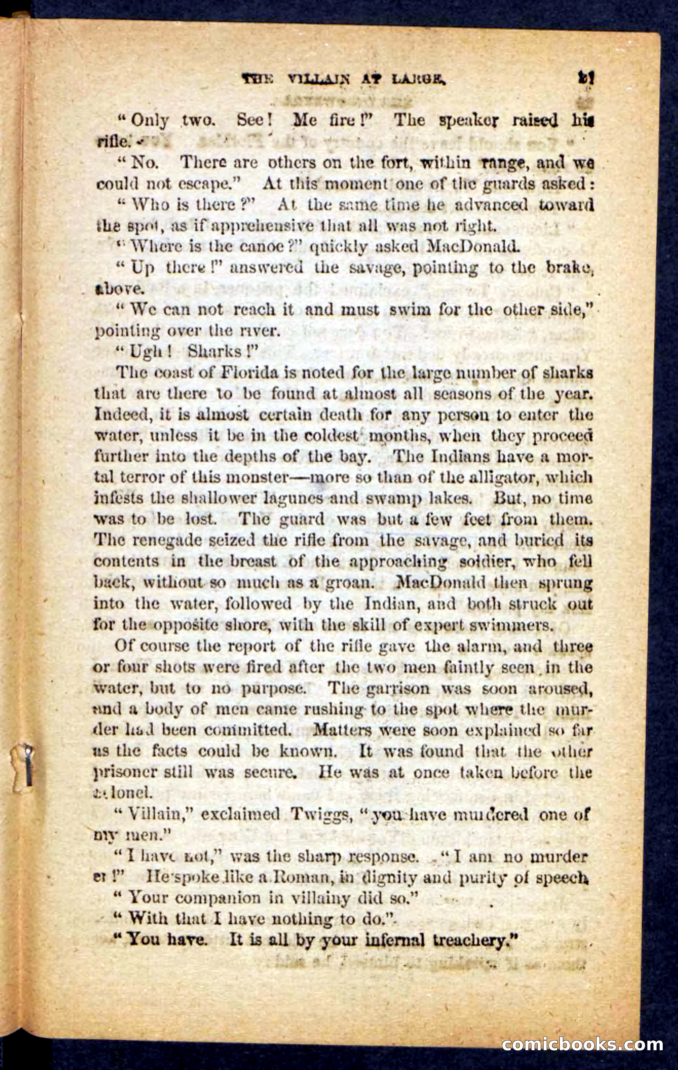 Beadle's Pocket Novels No. 152 — page 17 of 100