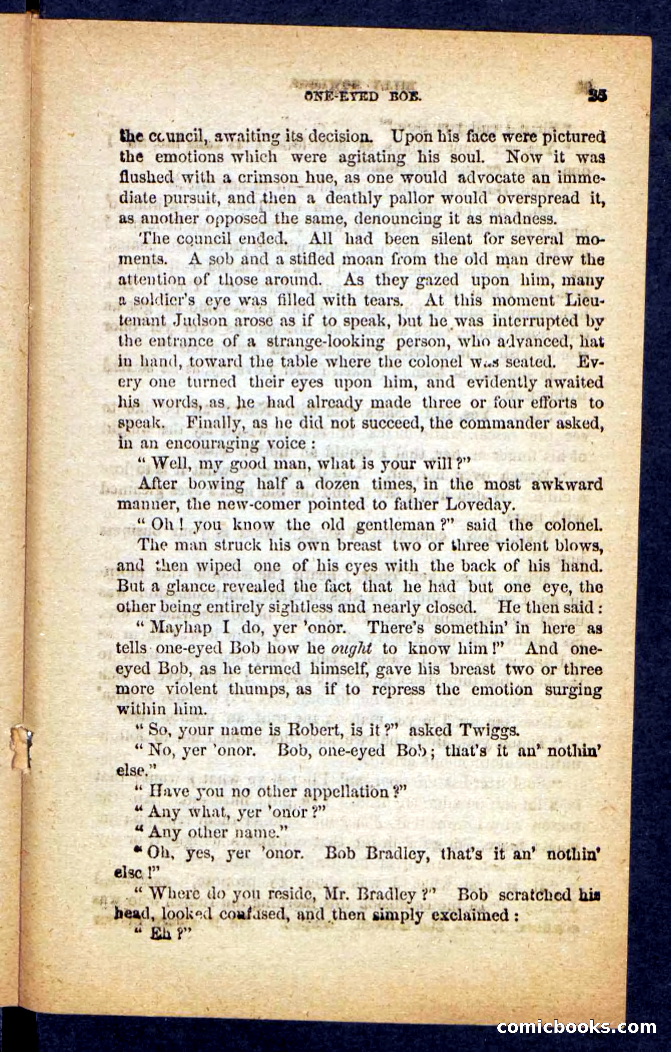 Beadle's Pocket Novels No. 152 — page 21 of 100