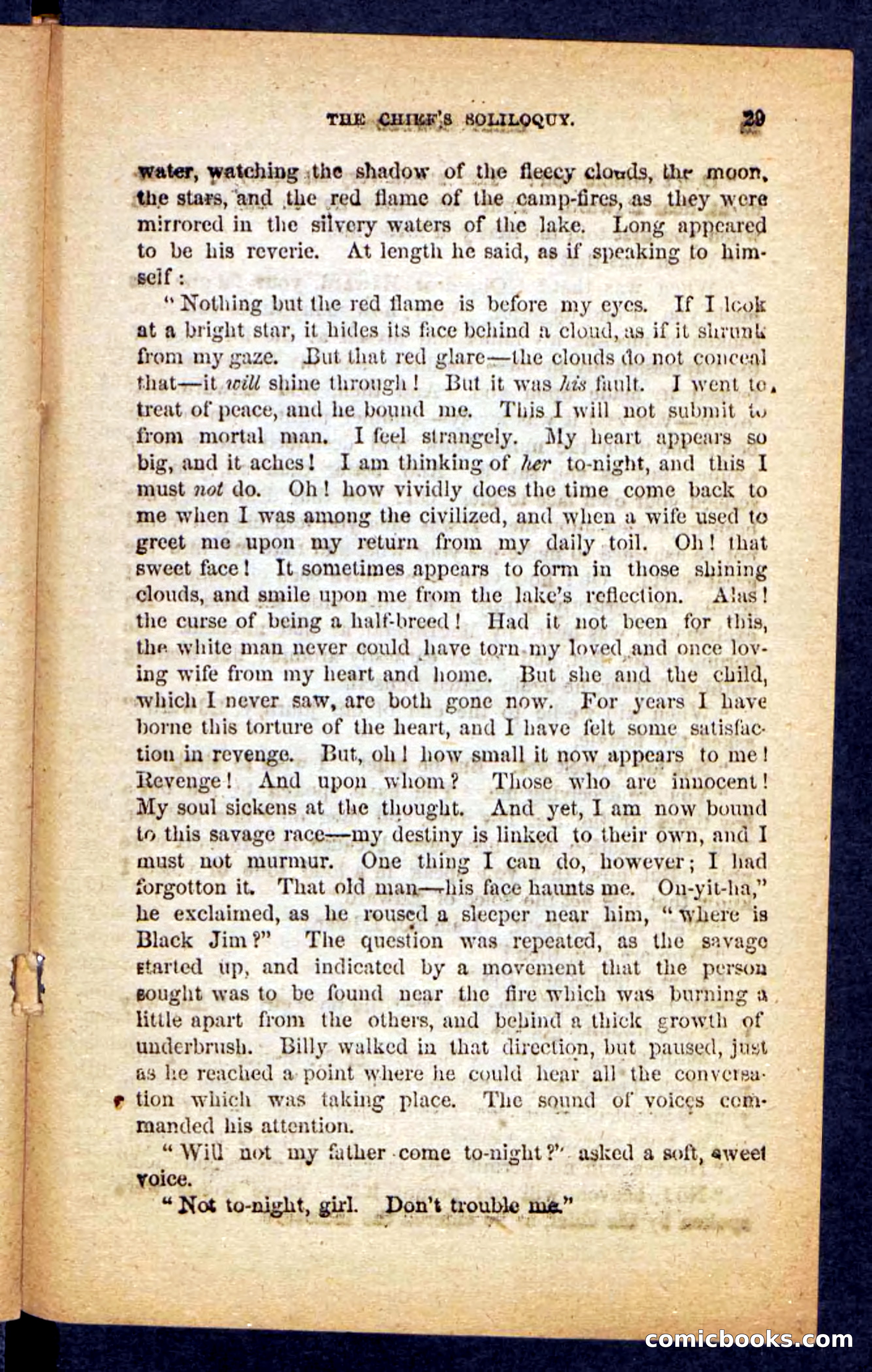 Beadle's Pocket Novels No. 152 — page 25 of 100