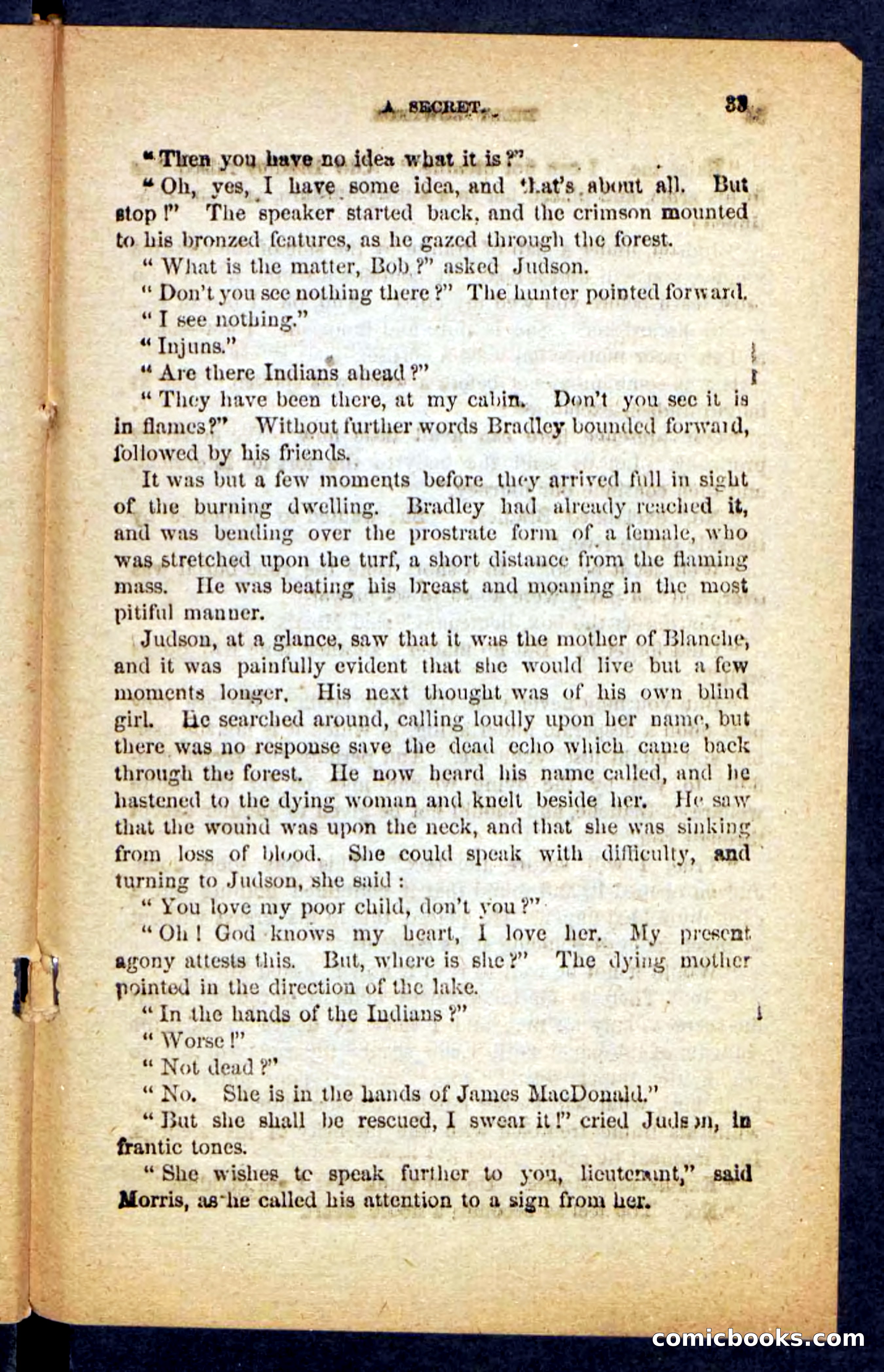 Beadle's Pocket Novels No. 152 — page 29 of 100