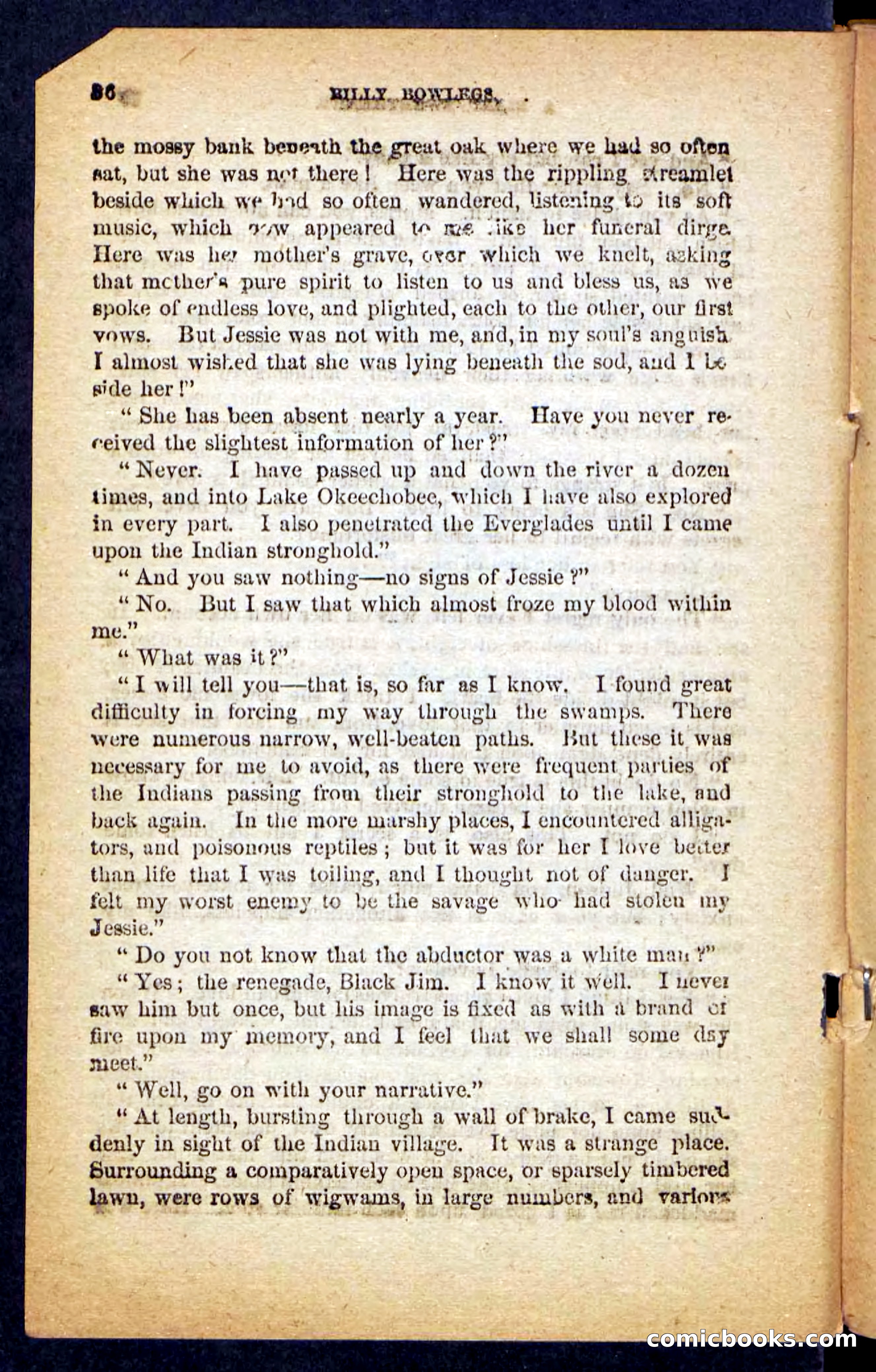 Beadle's Pocket Novels No. 152 — page 32 of 100
