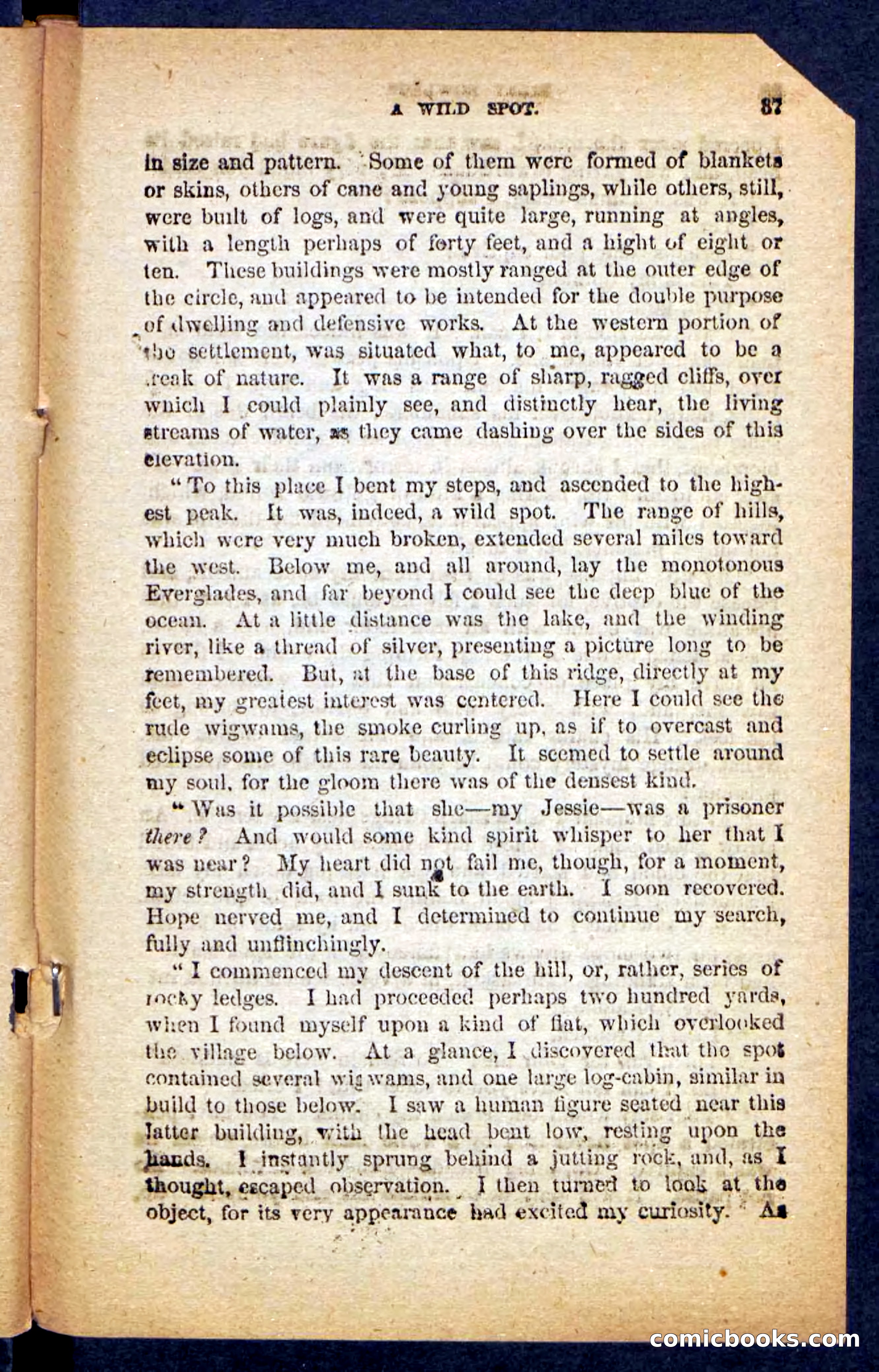 Beadle's Pocket Novels No. 152 — page 33 of 100