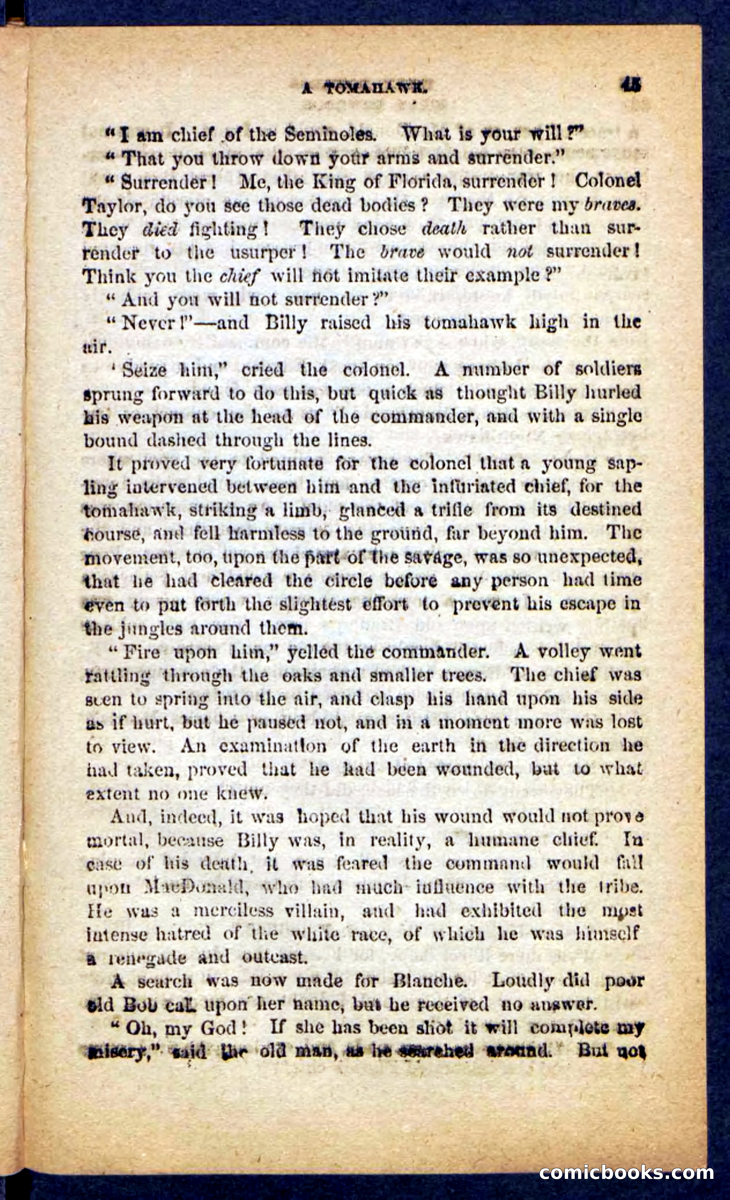 Beadle's Pocket Novels No. 152 — page 41 of 100