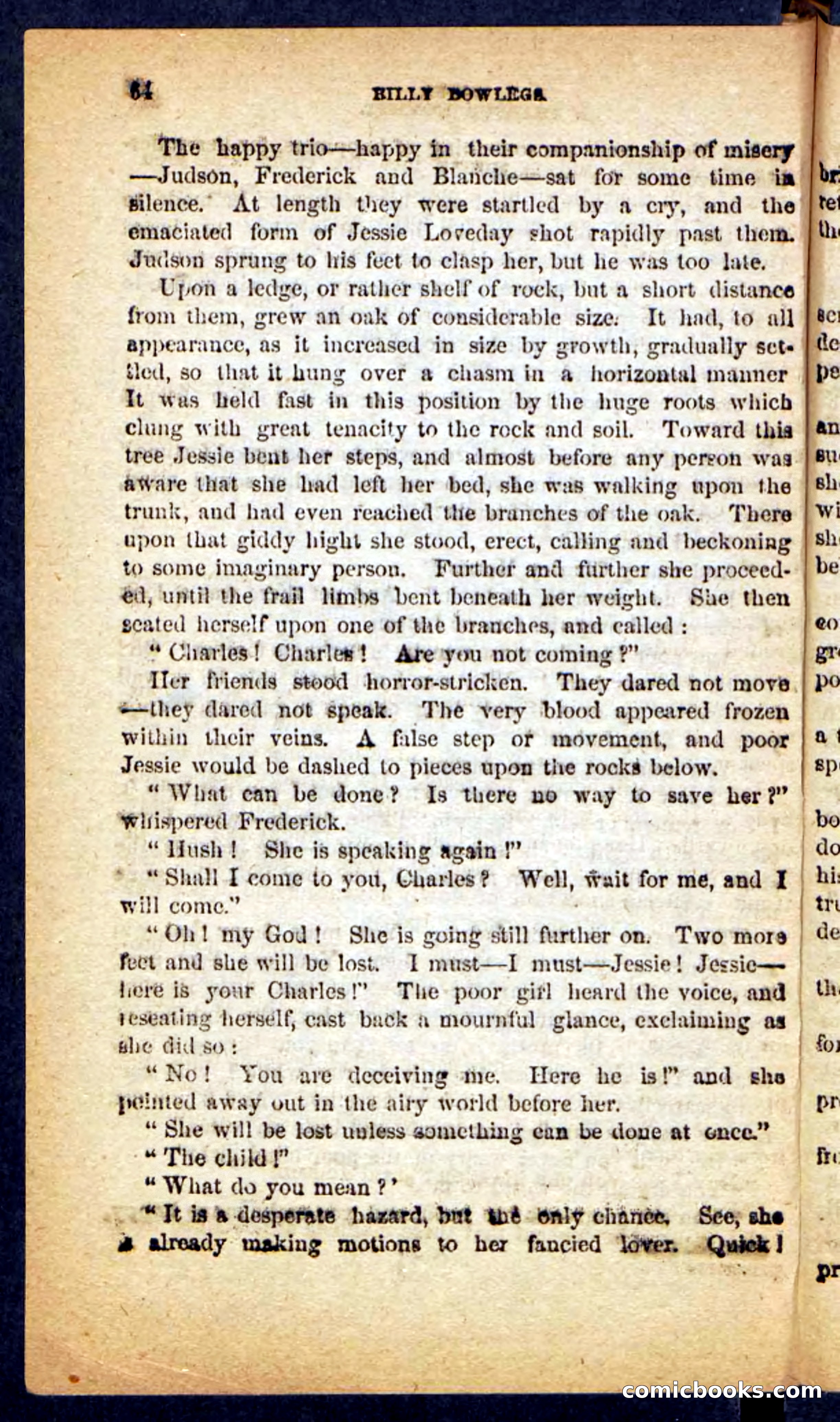 Beadle's Pocket Novels No. 152 — page 60 of 100