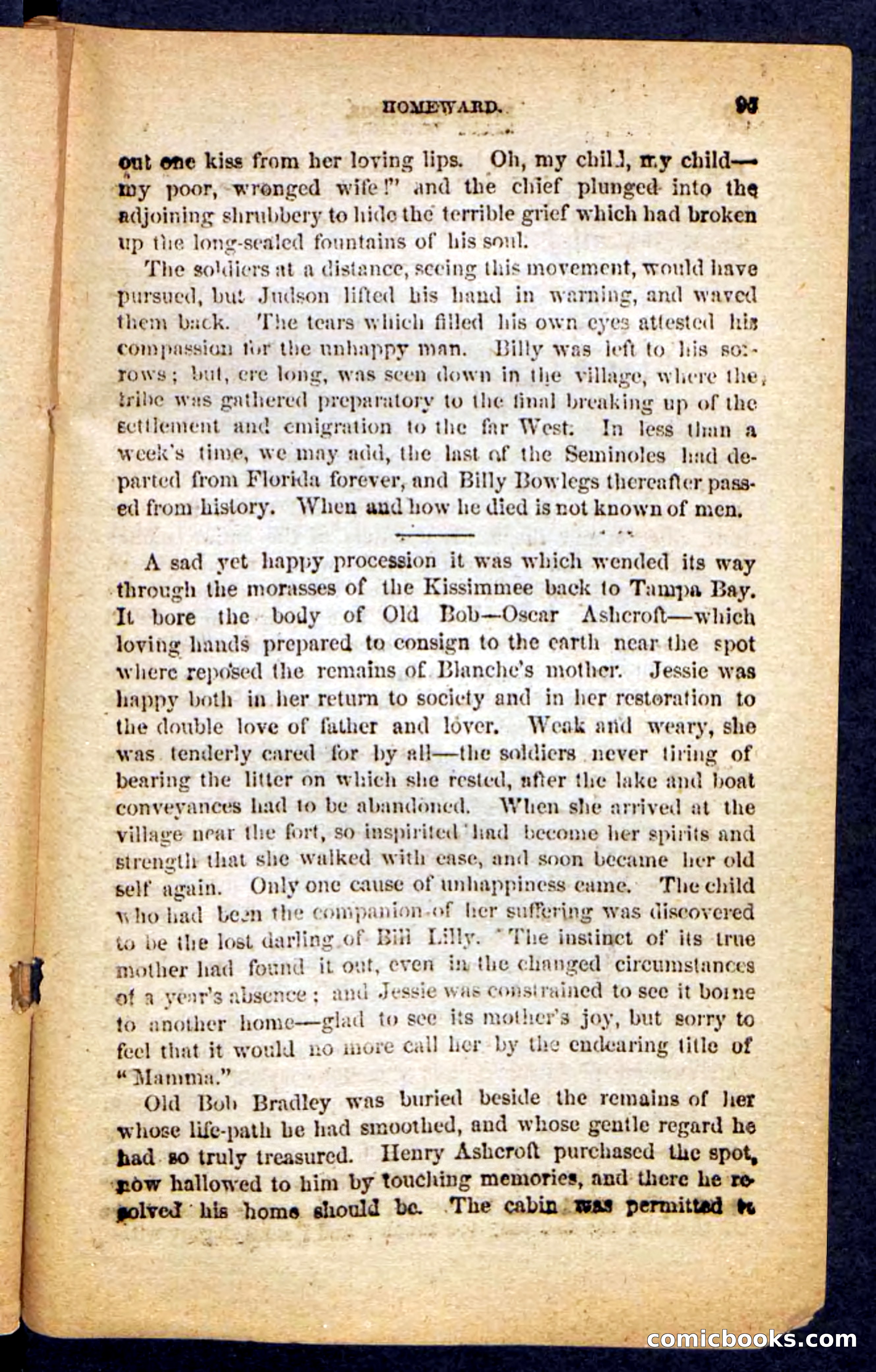Beadle's Pocket Novels No. 152 — page 91 of 100
