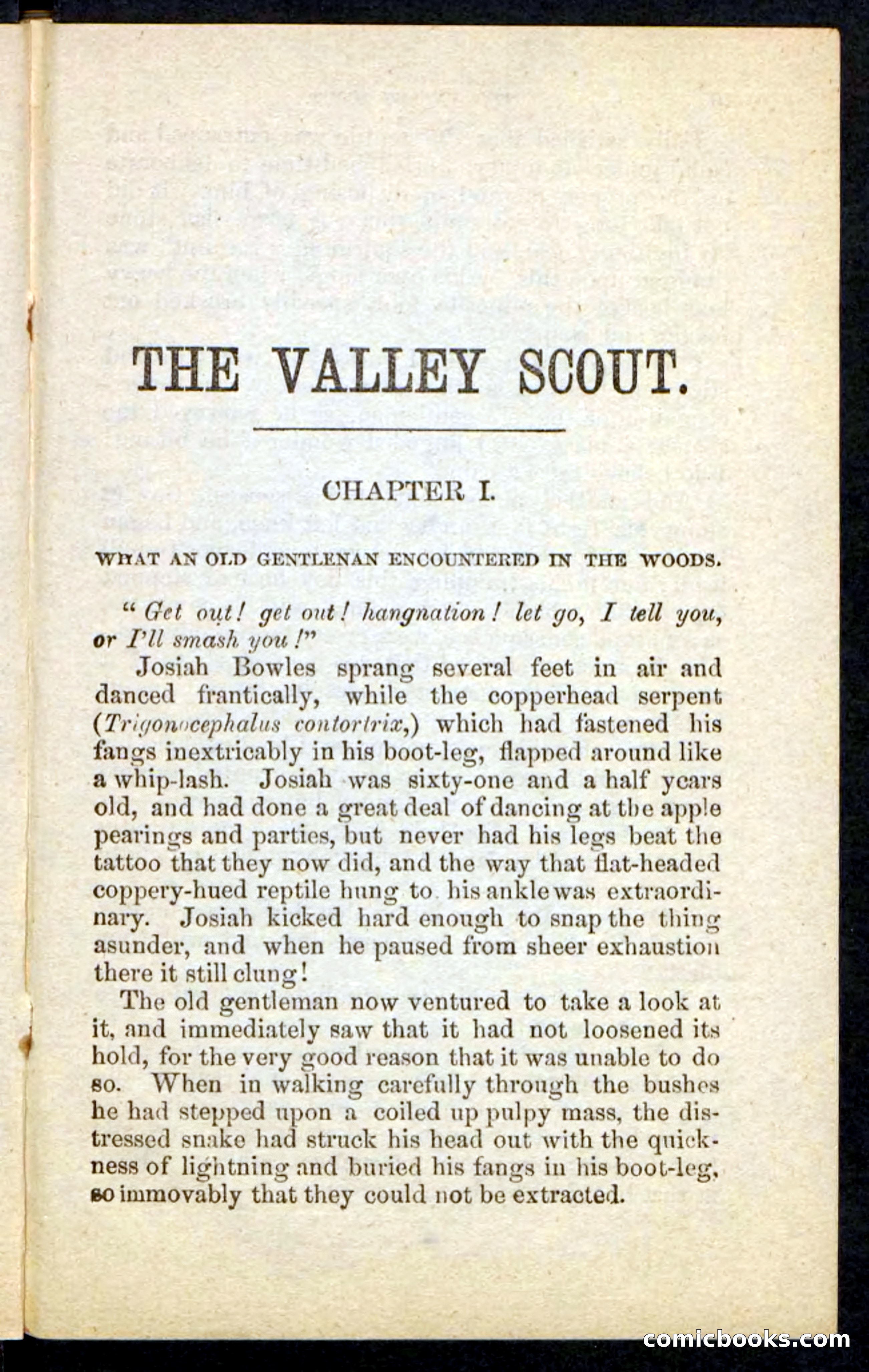 The Valley Scout — page 5 of 100
