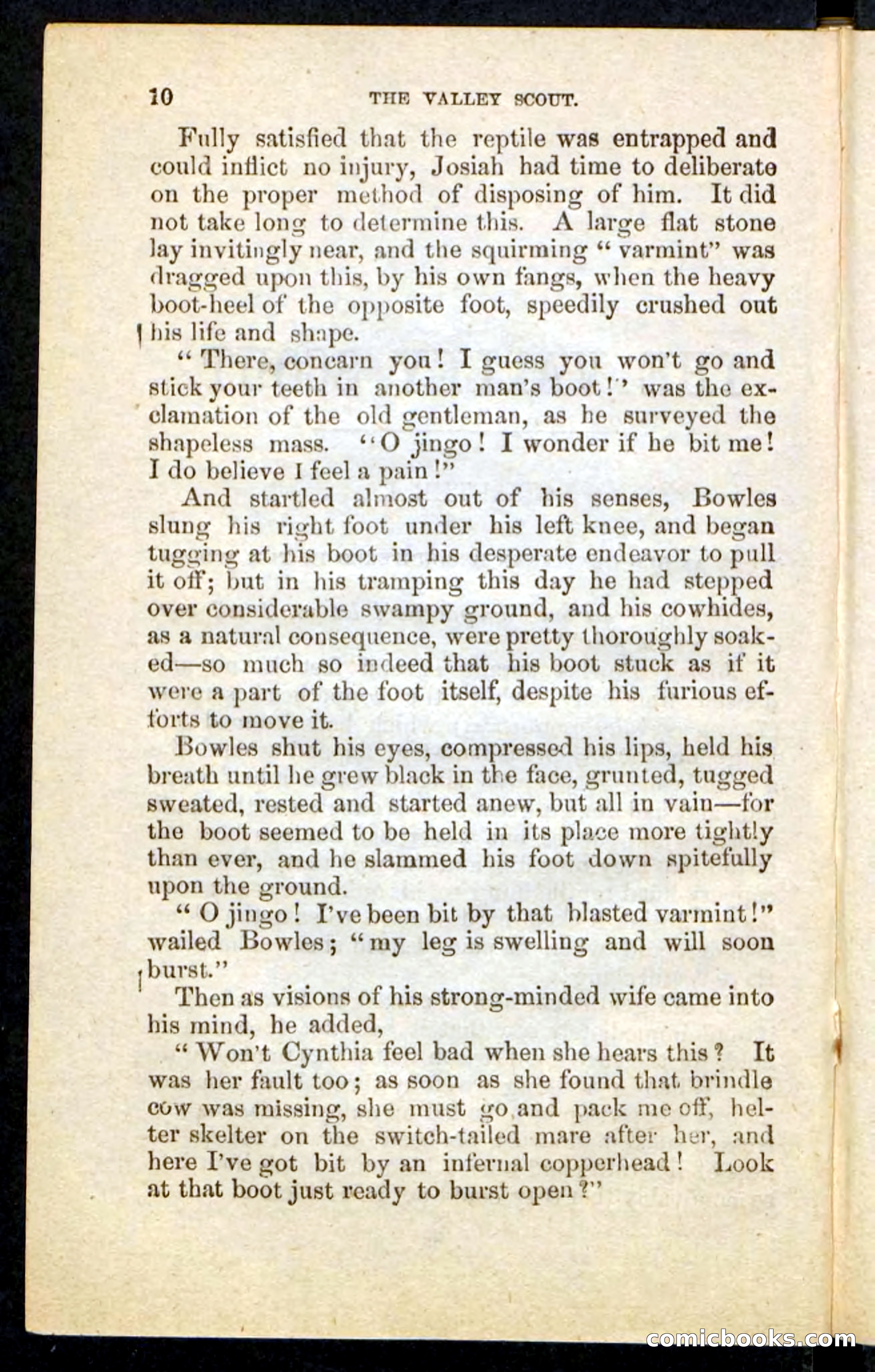 The Valley Scout — page 6 of 100