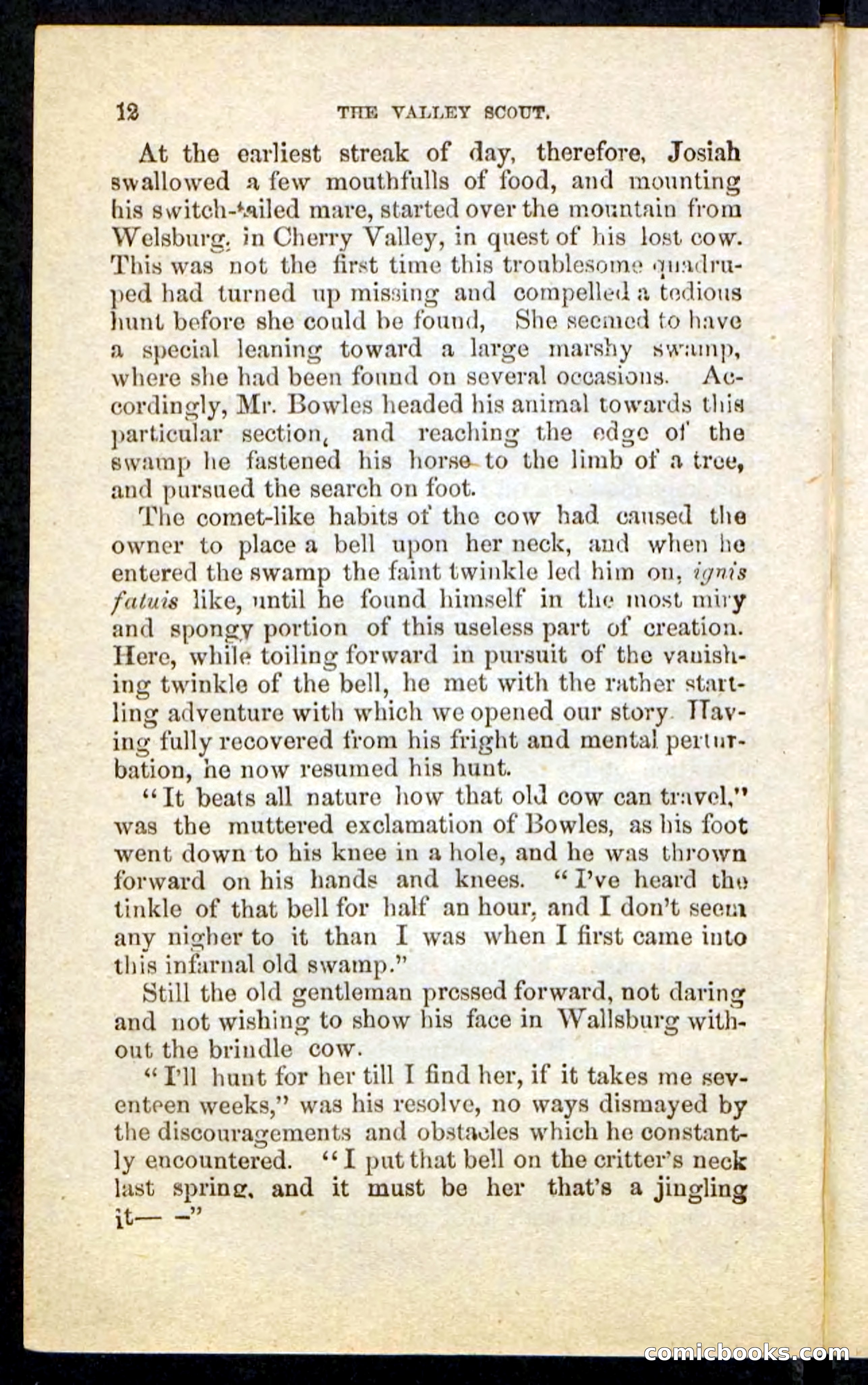 The Valley Scout — page 8 of 100