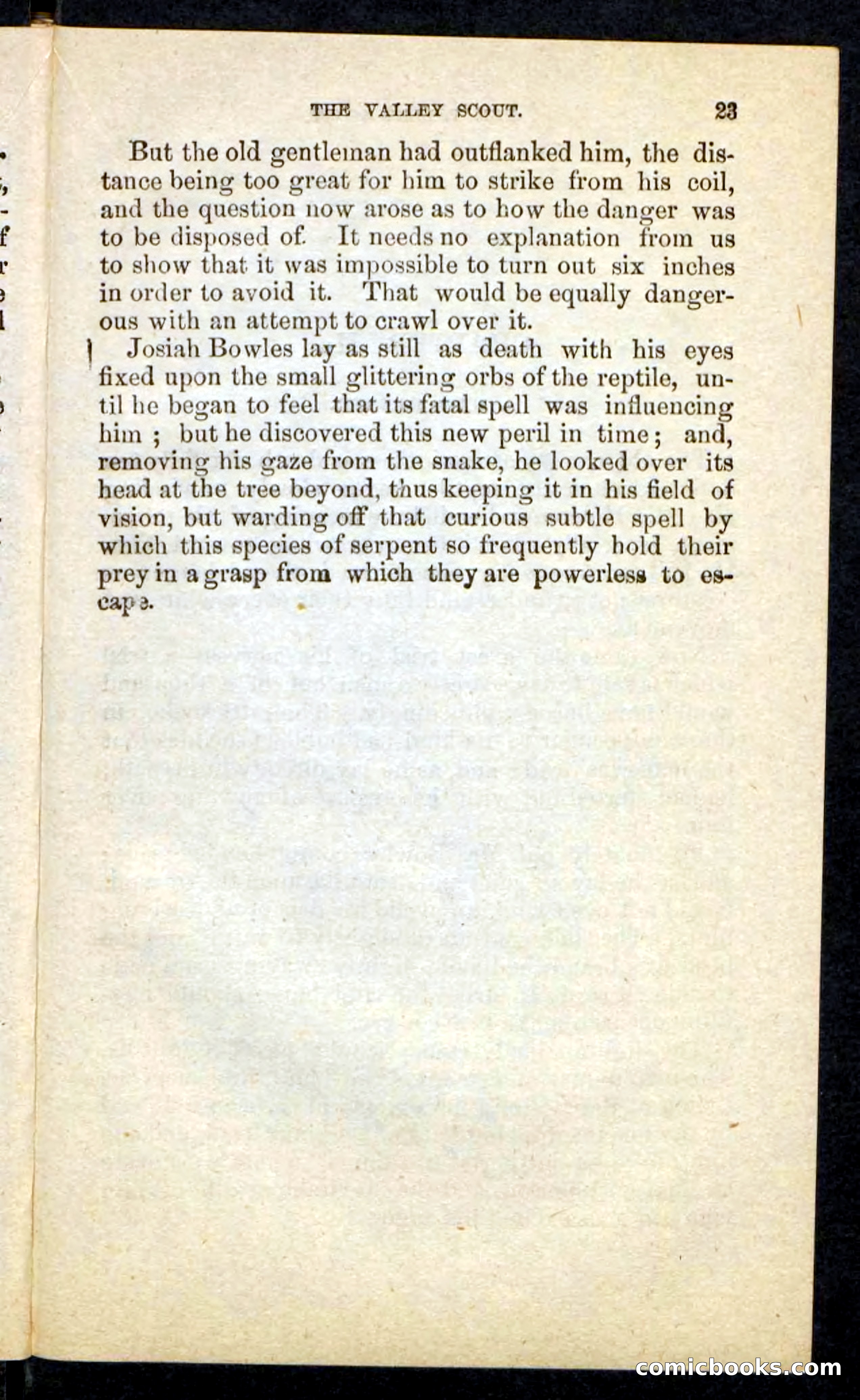 The Valley Scout — page 19 of 100
