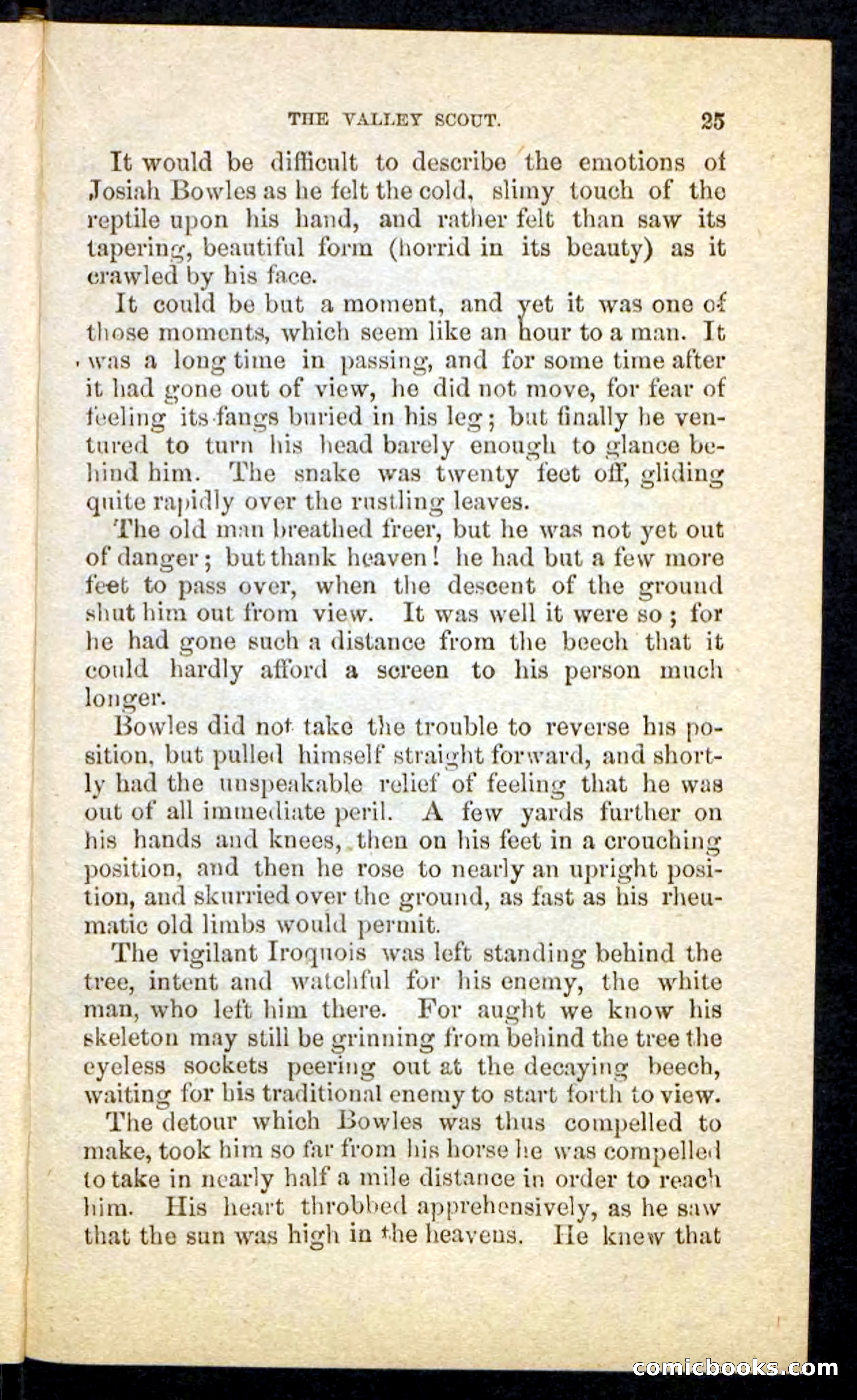 The Valley Scout — page 21 of 100
