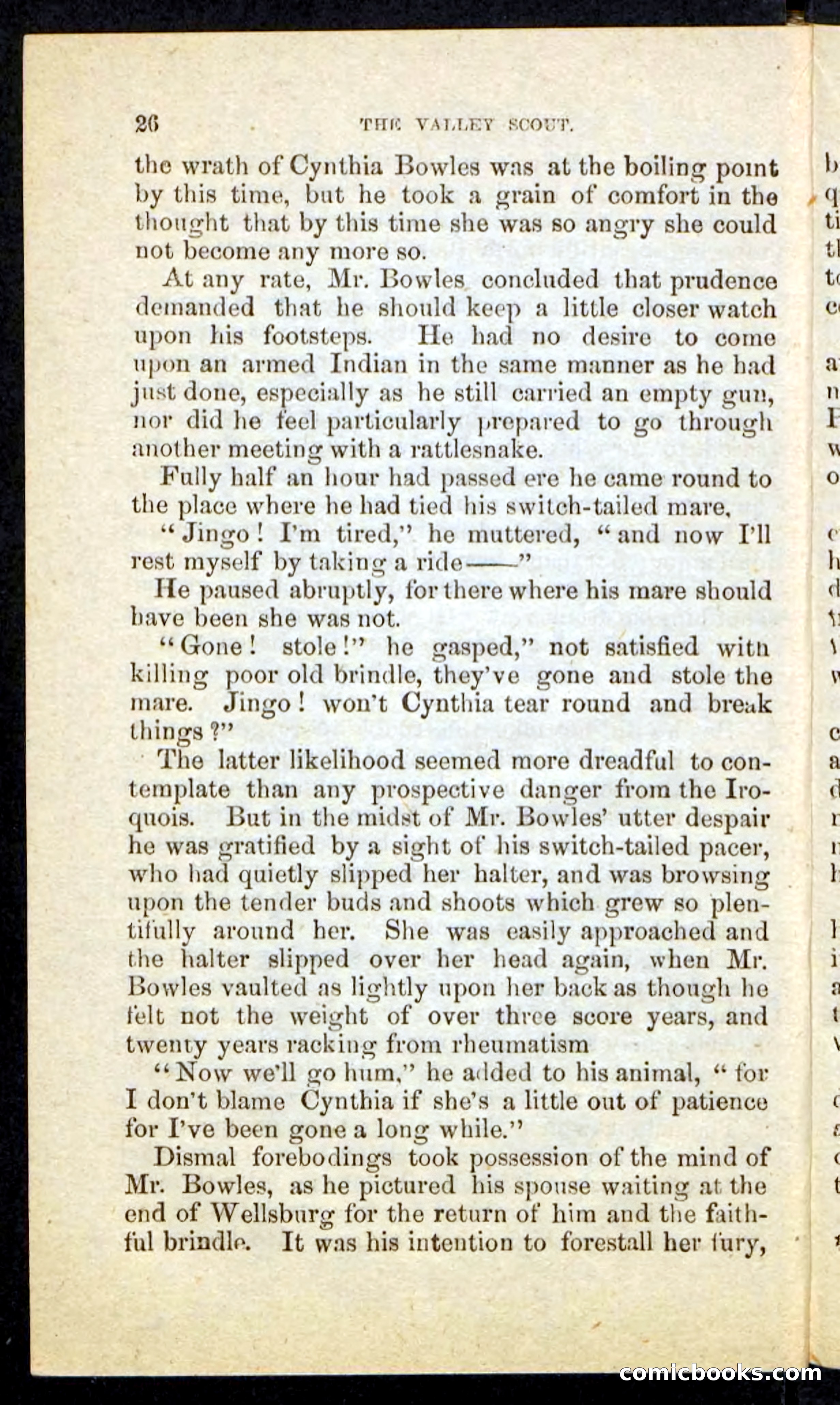 The Valley Scout — page 22 of 100