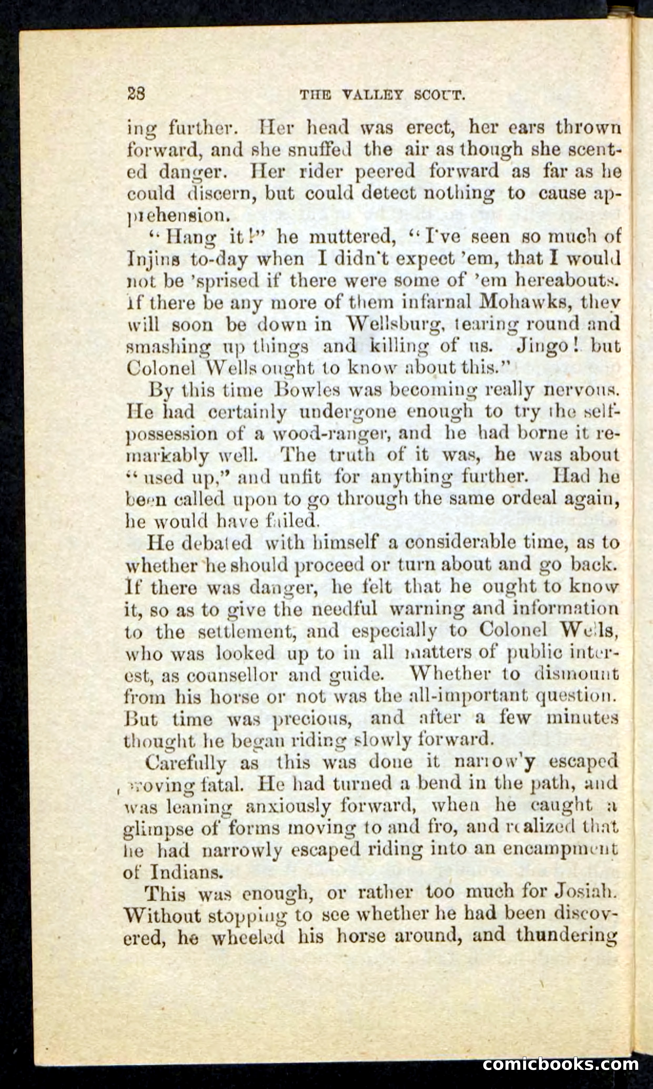 The Valley Scout — page 24 of 100
