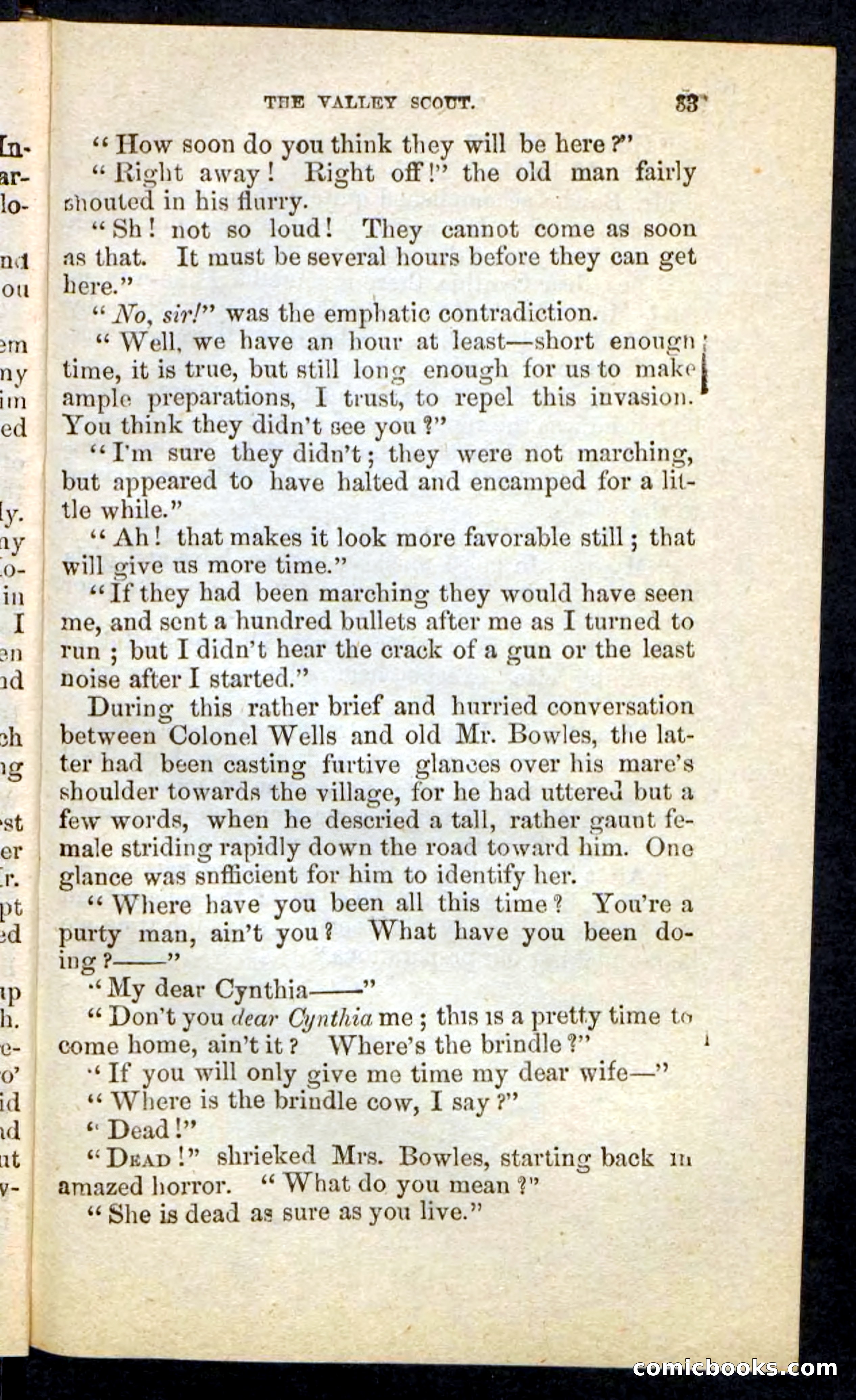 The Valley Scout — page 29 of 100