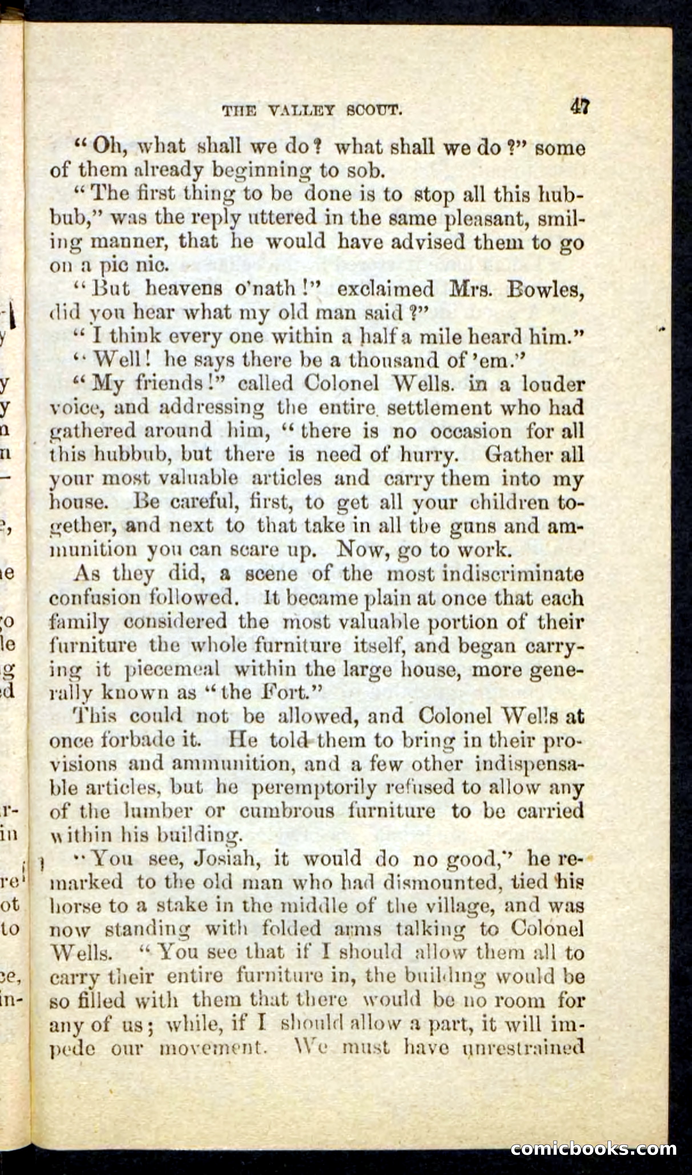 The Valley Scout — page 43 of 100