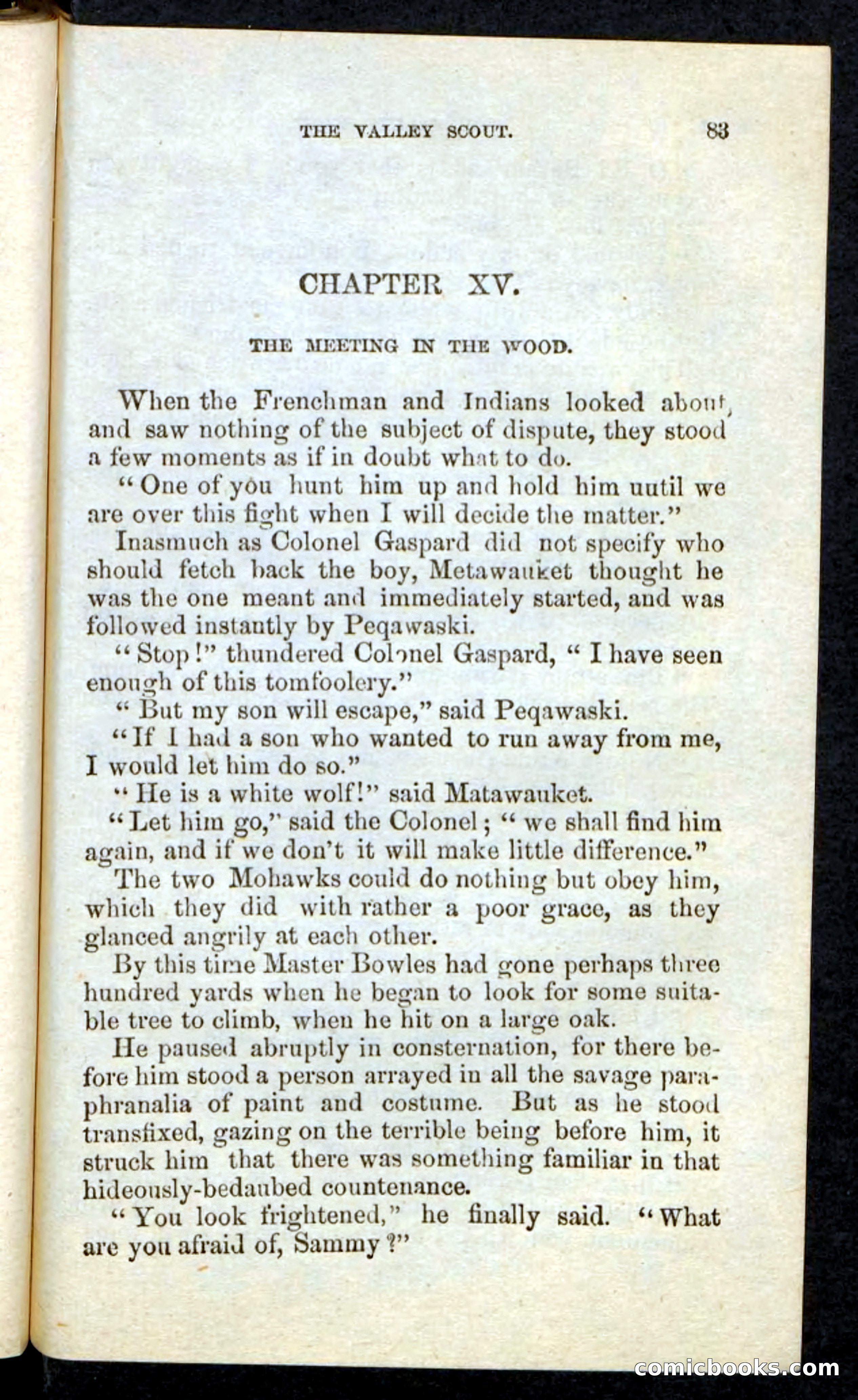 The Valley Scout — page 79 of 100
