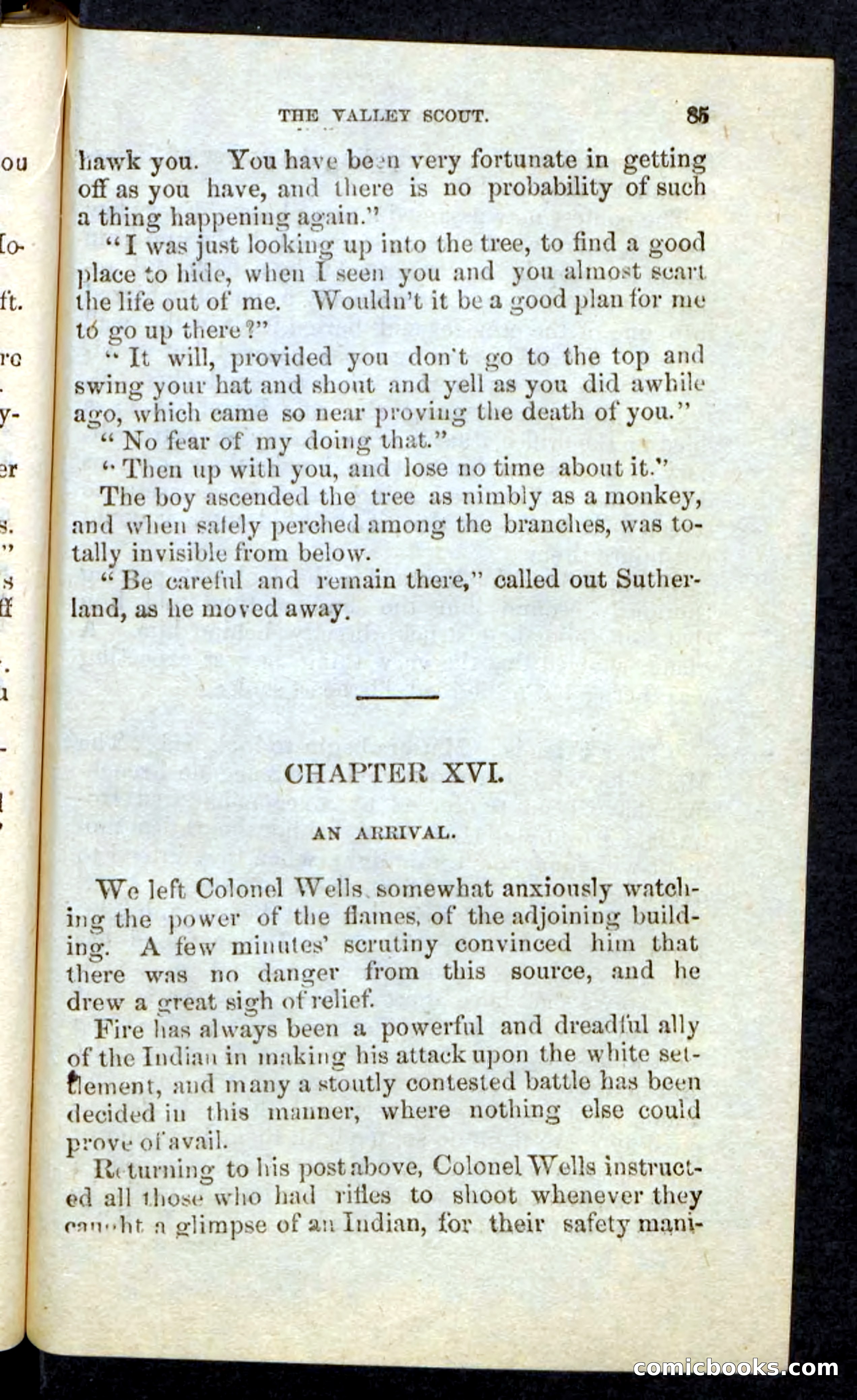 The Valley Scout — page 81 of 100
