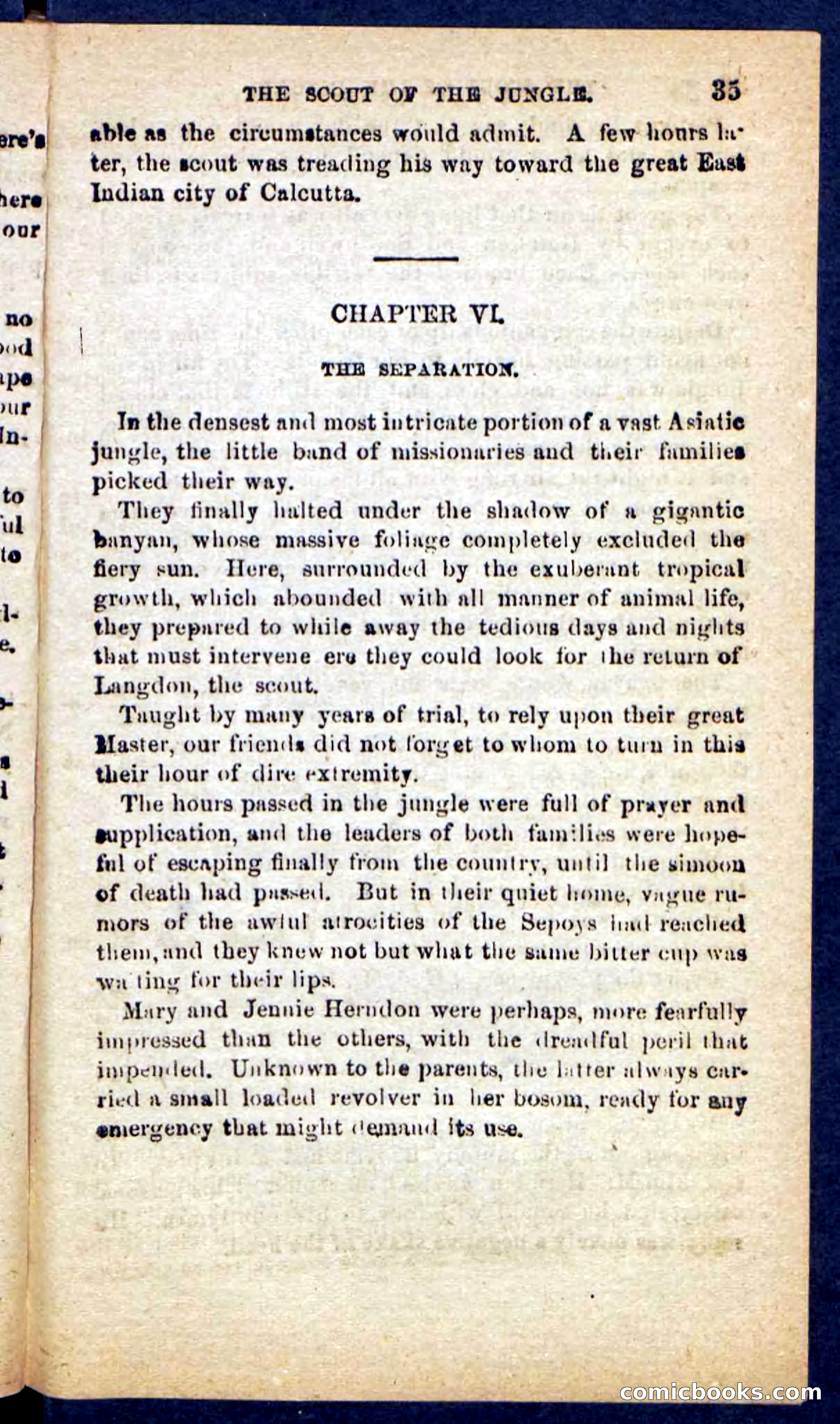 The Jungle Scout — page 31 of 100