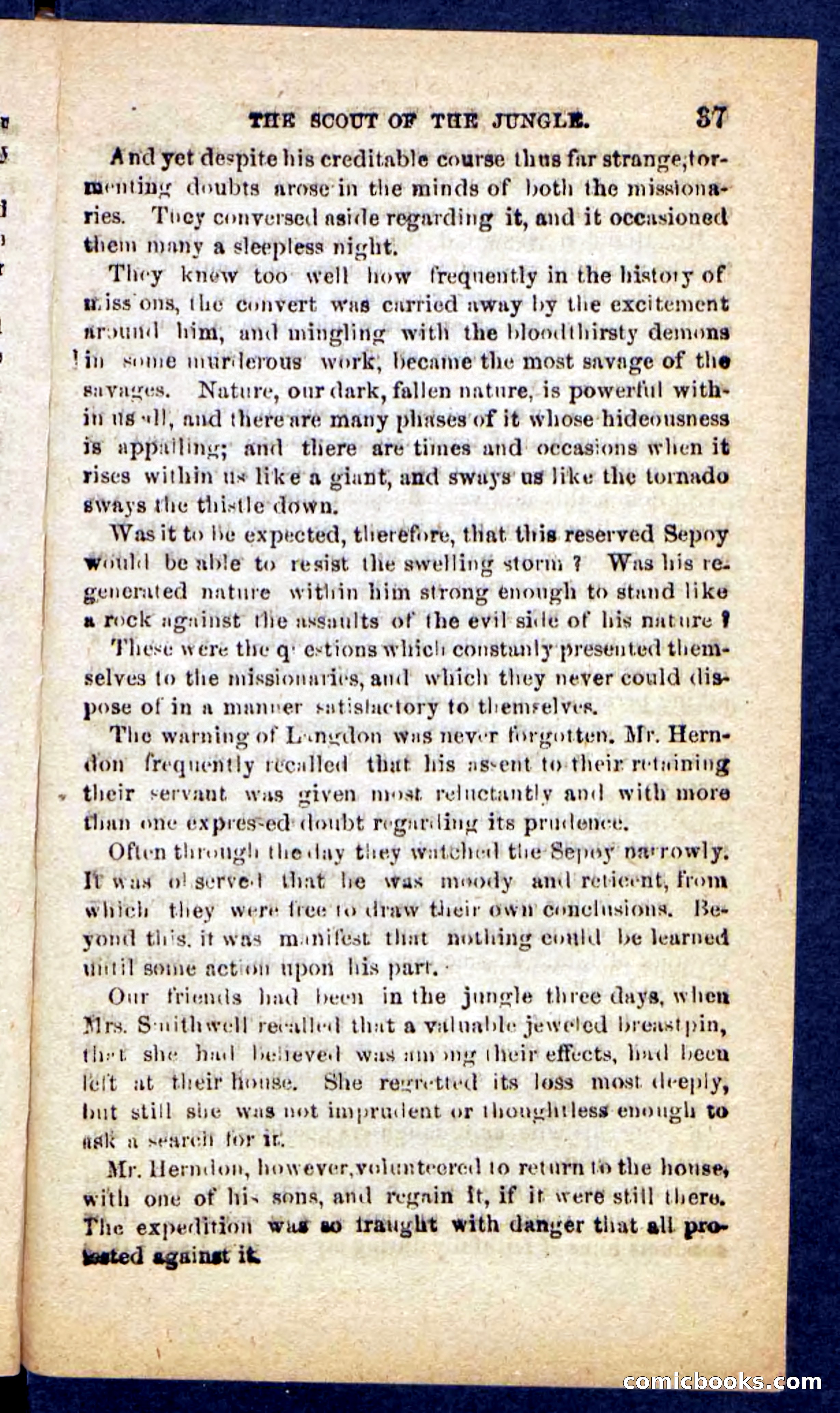The Jungle Scout — page 33 of 100